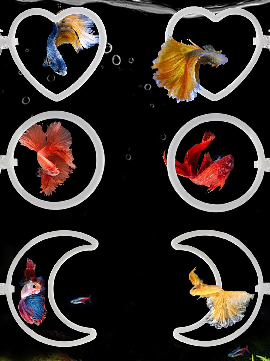 CAIJ Betta Exercise Ring and Filter Ball Set Includes Suction-Cup Betta Exercise Ring and Nitrifying Balls Enriching Toys for Aquariums, Turtle Tanks, and Small Fish Tanks