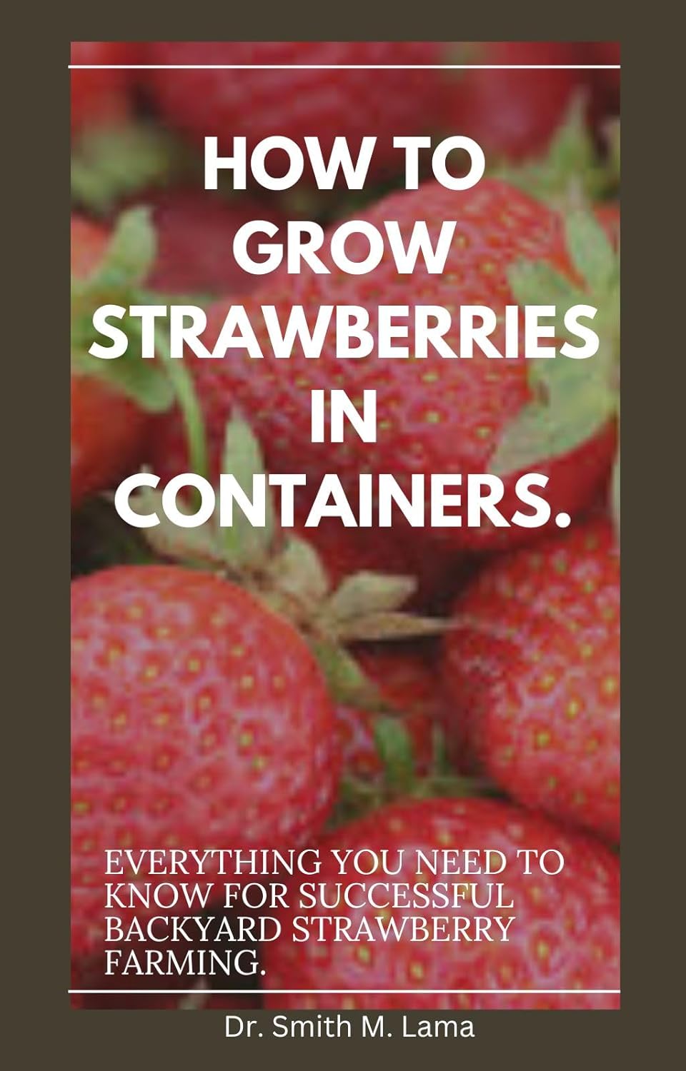 How to Grow Strawberries In Containers. Everything you need to know