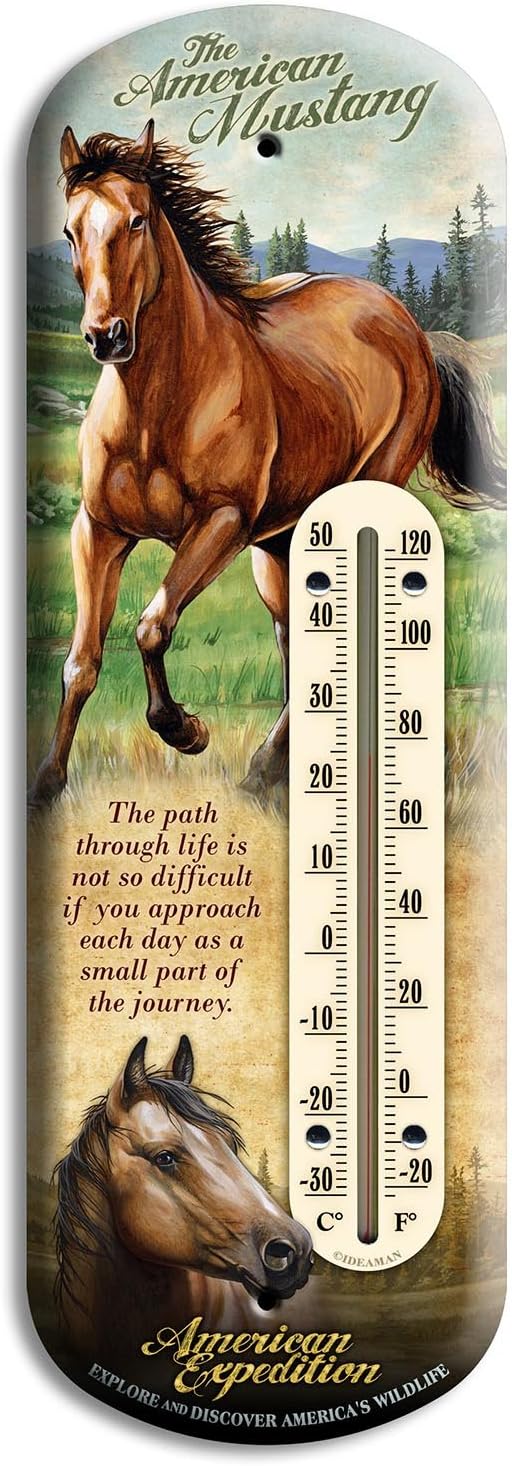 American Expedition Mustang Tin Back Porch Thermometer, Outdoor