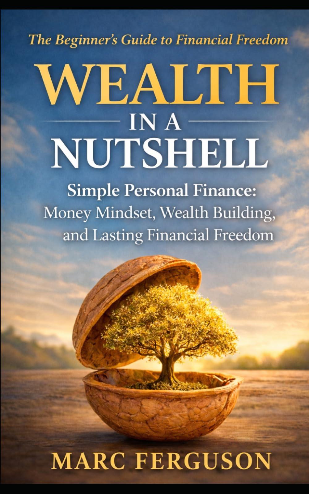 Wealth in a Nutshell: Simple Personal Finance: Money Mindset, Wealth Building and Lasting Financial Freedom.