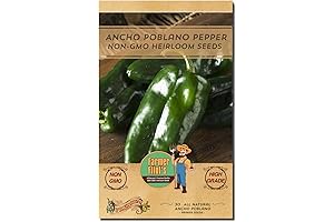 All Natural Poblano Pepper Seeds for Home Gardens - Pack of 30