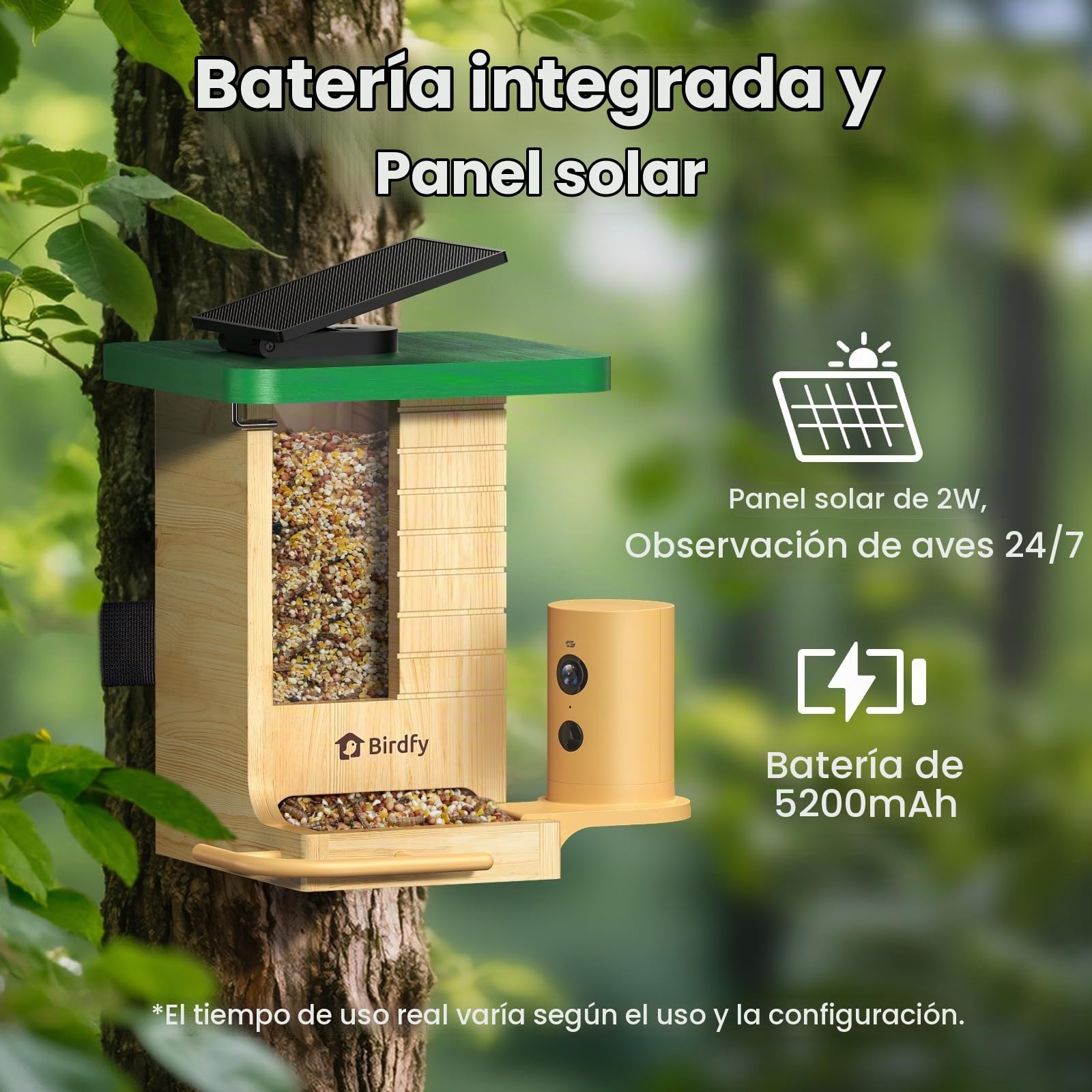 Smart Bird Feeder with Camera, Birdfy Bird Feeder Made of Wood, Solar Powered, AI Detection for 6000+ Bird Species, 1080P Portrait, Weatherproof, App Live View, Youtube & Facebook Streaming