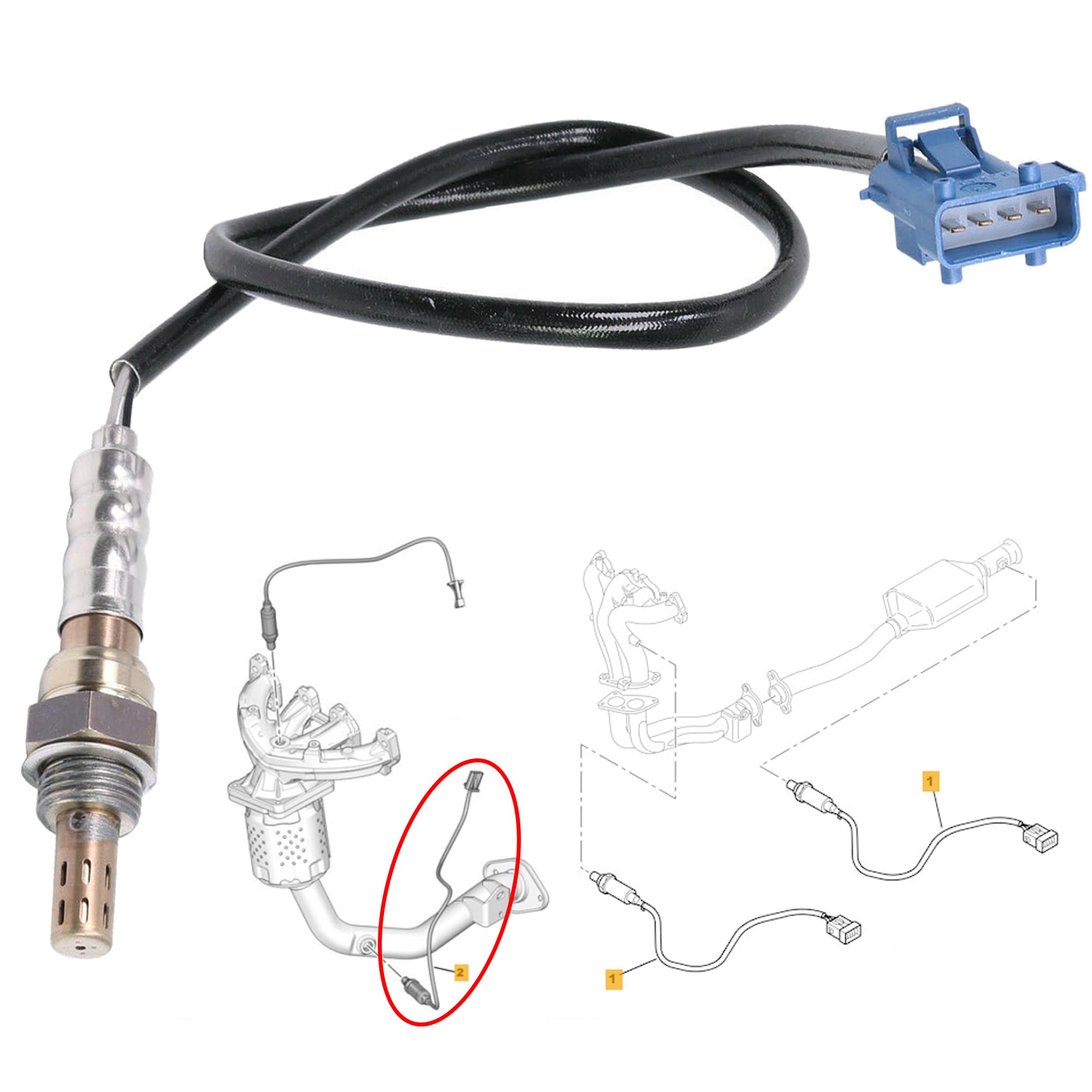 Partsline Sonde lambda M18x1.5 pour Partner, Berlingo, 206, 207, C3, C2, 307, MINI One Cooper R55 R56 après catalyseur – équivalent à 1618V3, 11787548961