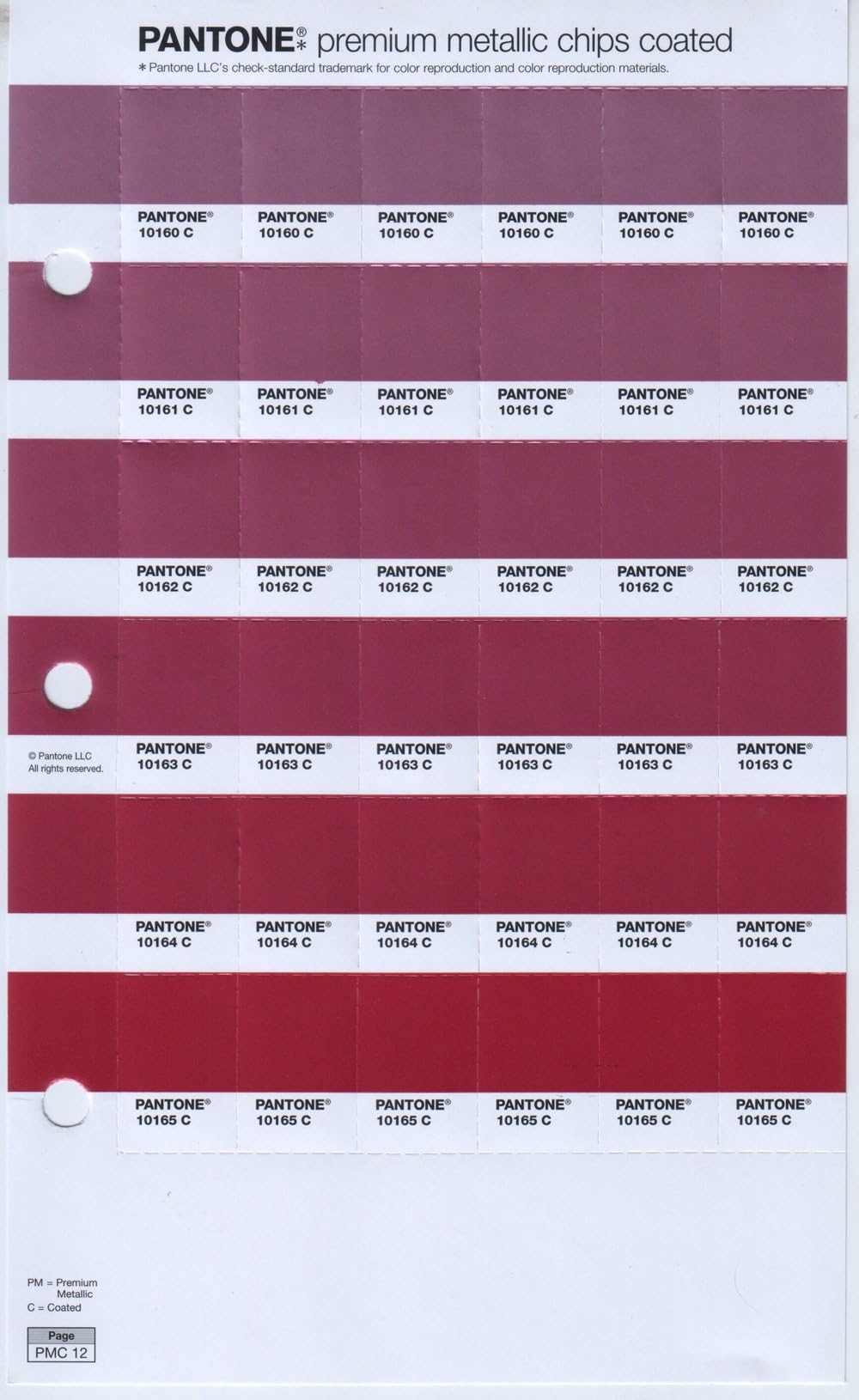 PantonePremium Metallics Page 5