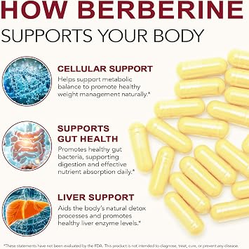 Berberine Supplements 120 Capsules, Premium Strength Formula, 2 Month Supply, Natural Ingredients