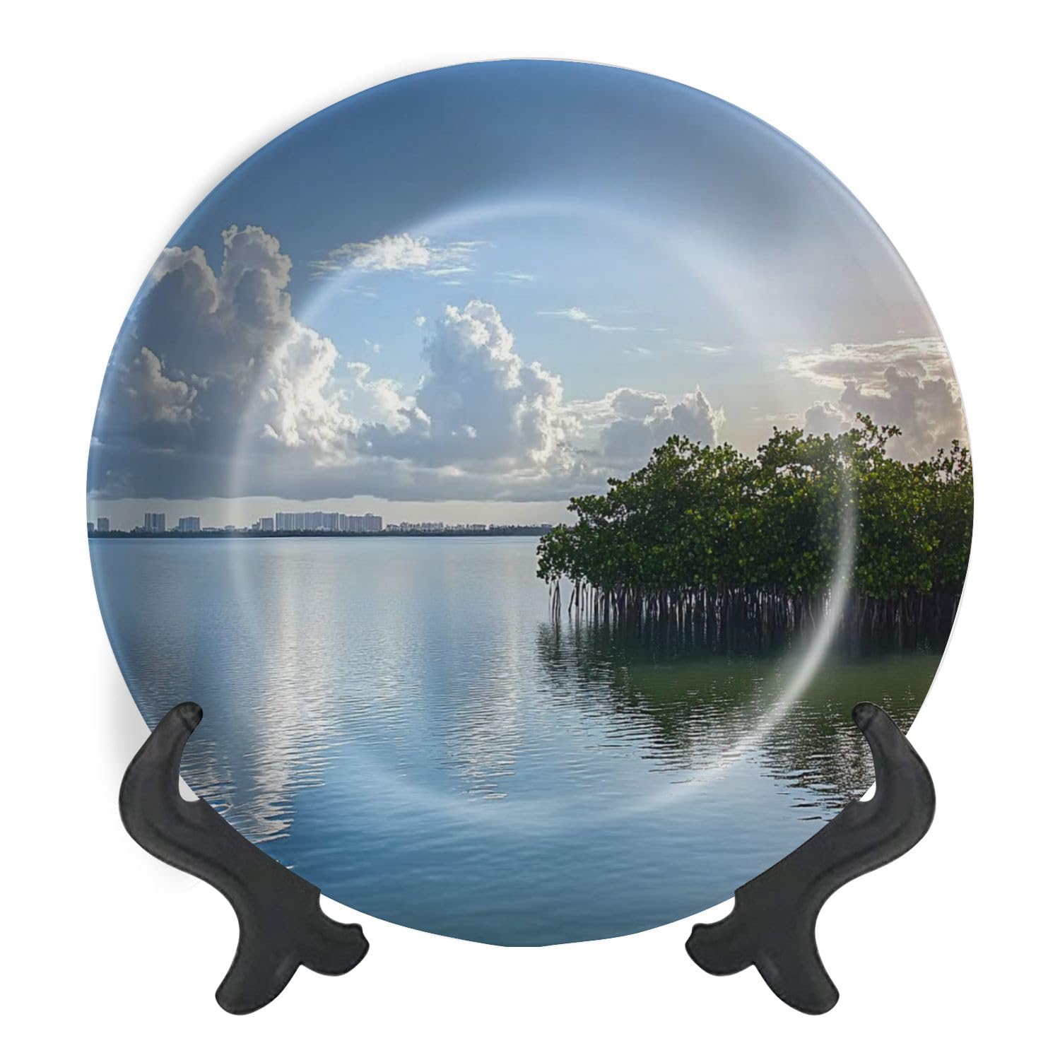 Decorative Plates for Display Sun rays behind Mangroves Biscayne National Park Florida Gift Plates Ceramic Collections Plates Hanging Artwork for Living Dining Room Kitchen Souvenir