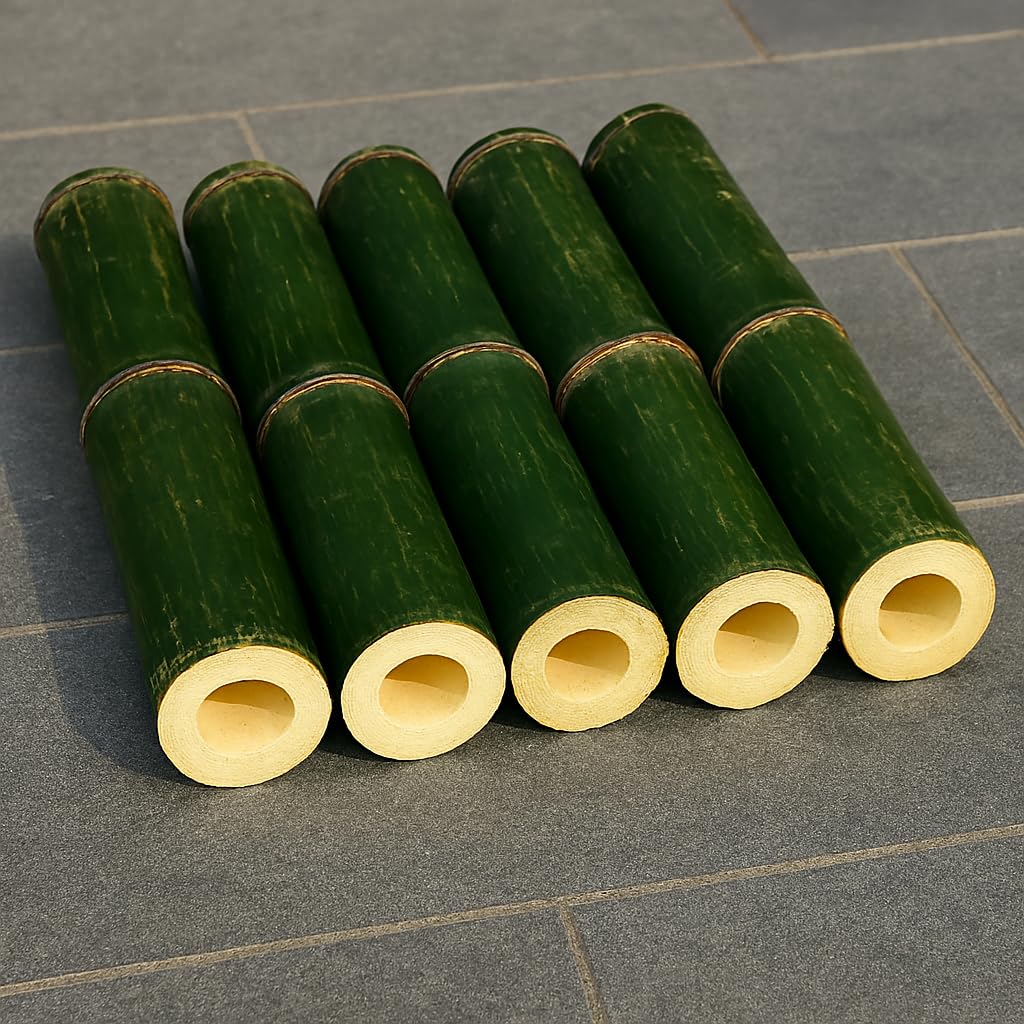 tclpvc 2 feet Premium Natural Teak Wood Plant Support Sticks - Garden Sticks for Straightening Training and Supporting Plants - Strong and Durable Solution for Healthy Growth (1pcs)