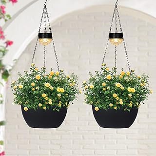 12 Plants on Patio Ideas for Lush Small Outdoor Spaces 105 SUNNYPARK 2 Packs Hanging Planters Basket for Outdoor Plants, Solar Powe...