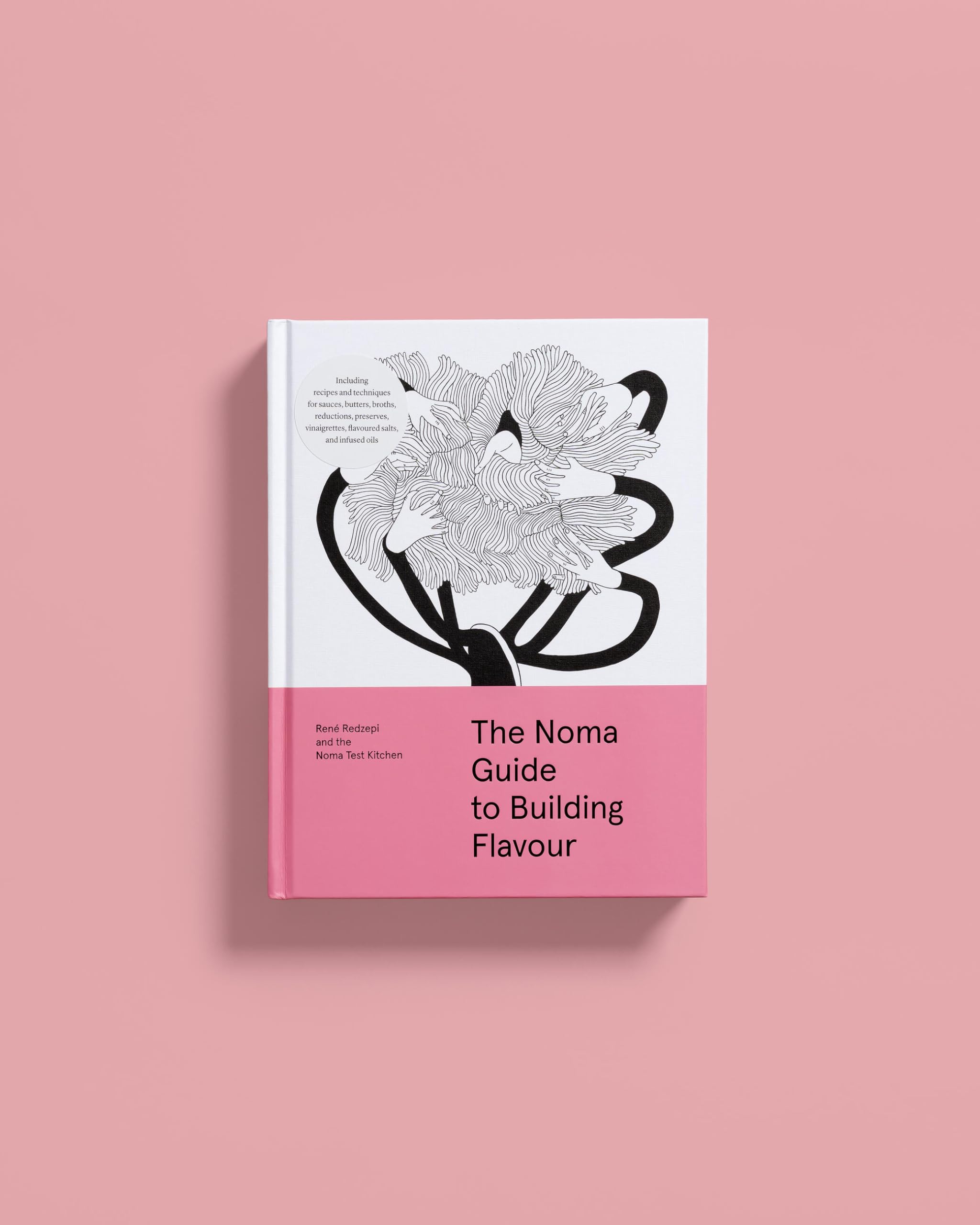 The Noma Guide to Building Flavour: Including recipes and techniques for sauces, butters, broths, reductions, preserves, vinaigrettes, flavoured salts, and infused oils (Foundations of Flavor)