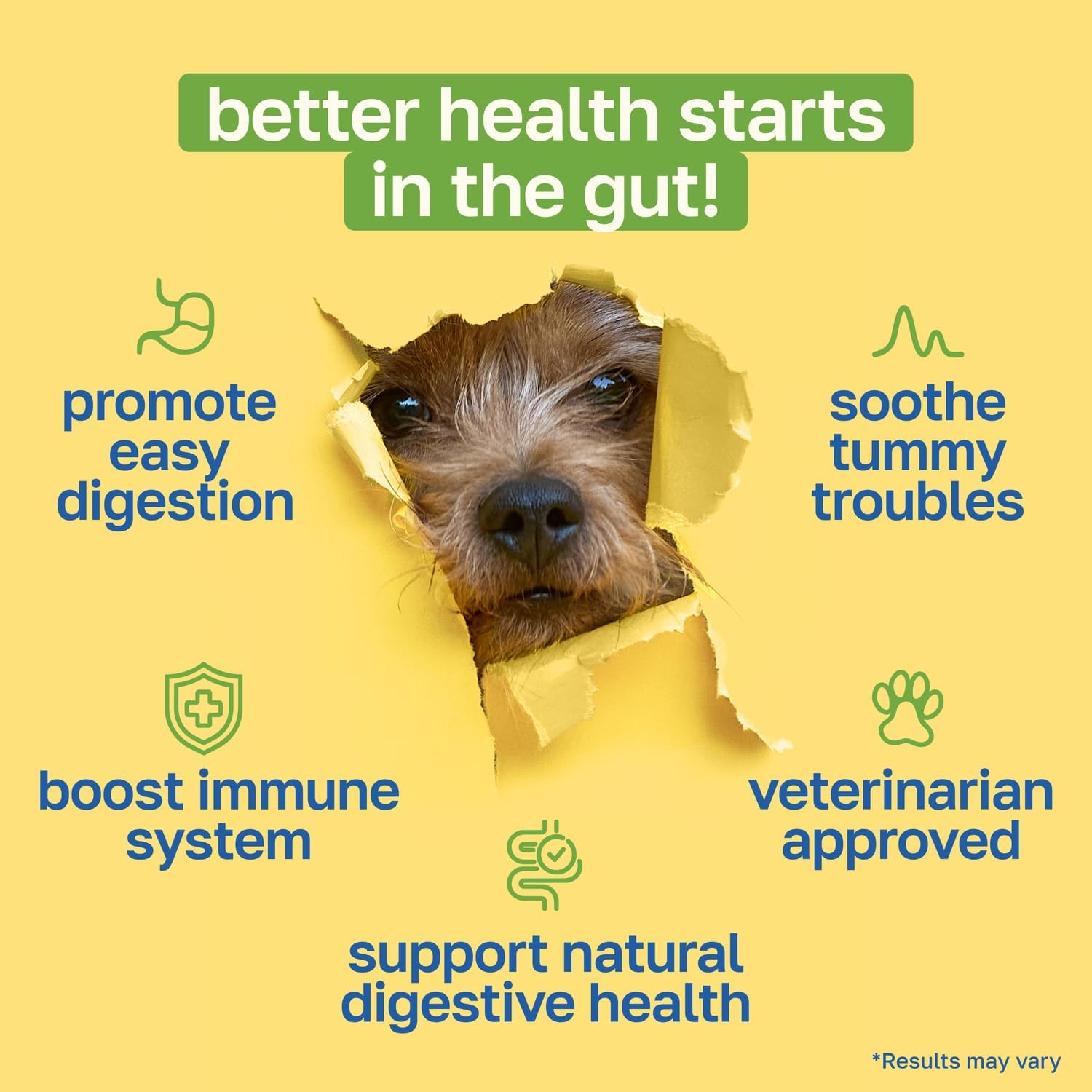 Happy Paws Digestive Support Supplement & Dog Probiotics, Supports Gut Health & Diarrhea with Enzyme Blend & Ginger Root, Pumpkin Flavor, Organic, Non GMO, 200 Soft Chews