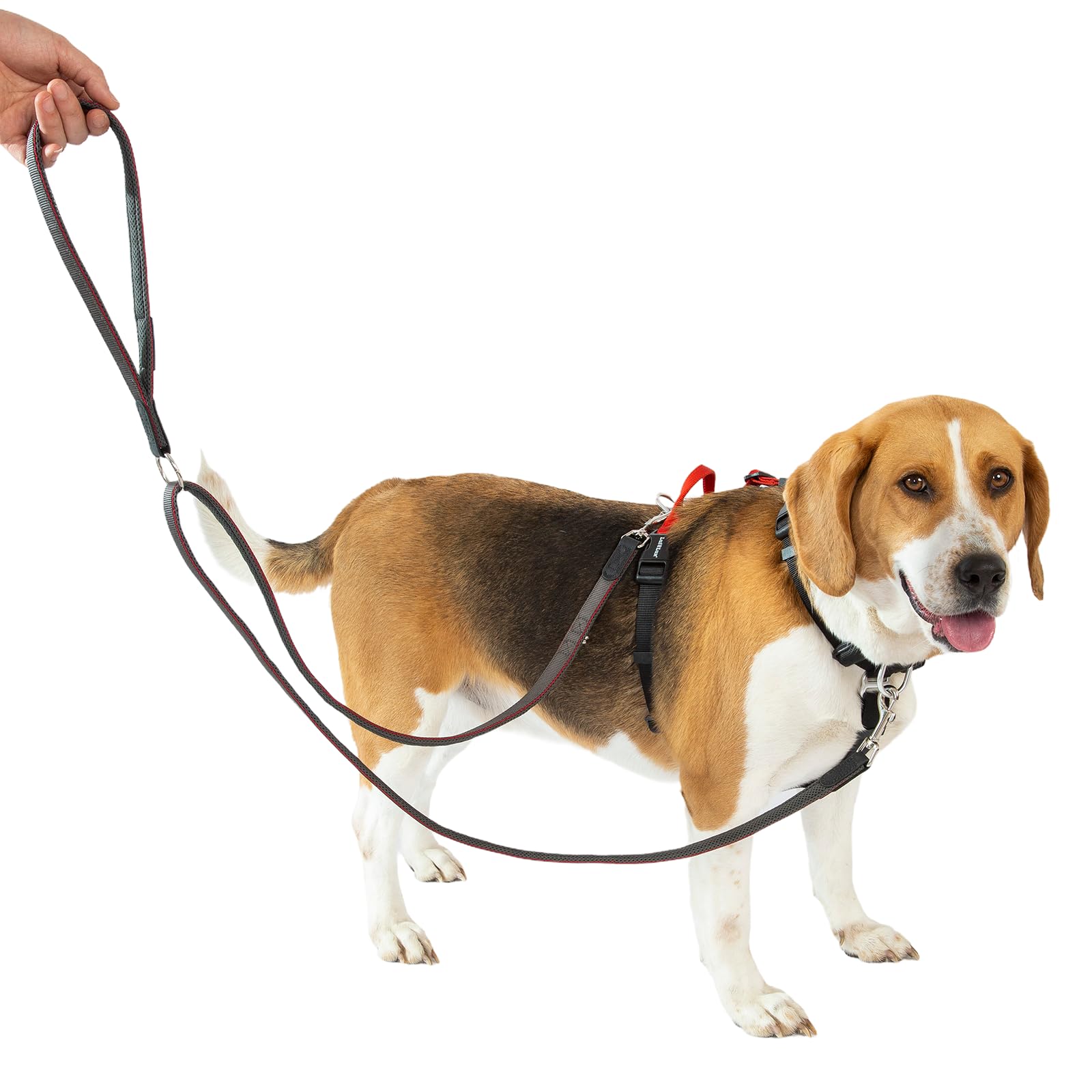 LufeLux No Pull Dog Running Harness with Two Points Control Leash Set, Neck Buckle, Aluminum D-Rings, 6 Points Adjustment, Easy Walking and Training, Leash with 2 Clips (Harness-Leash Set, L)