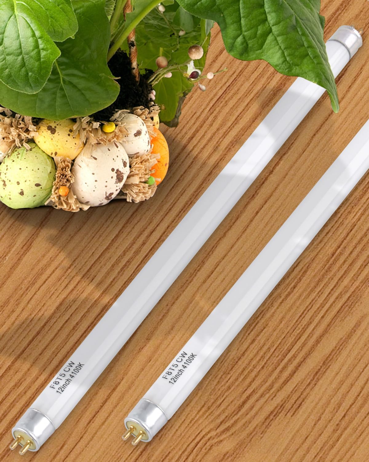 PACETAP F8T5 CW 4100k Fluorescent Bulbs 6 Pack, T5 12 inch 8 Watts Linear Under Cabinet Light Bulb Cool White, G5 Mini Bi Pins Base Replacement Tube for Under Cabinet Light, RV, Closet