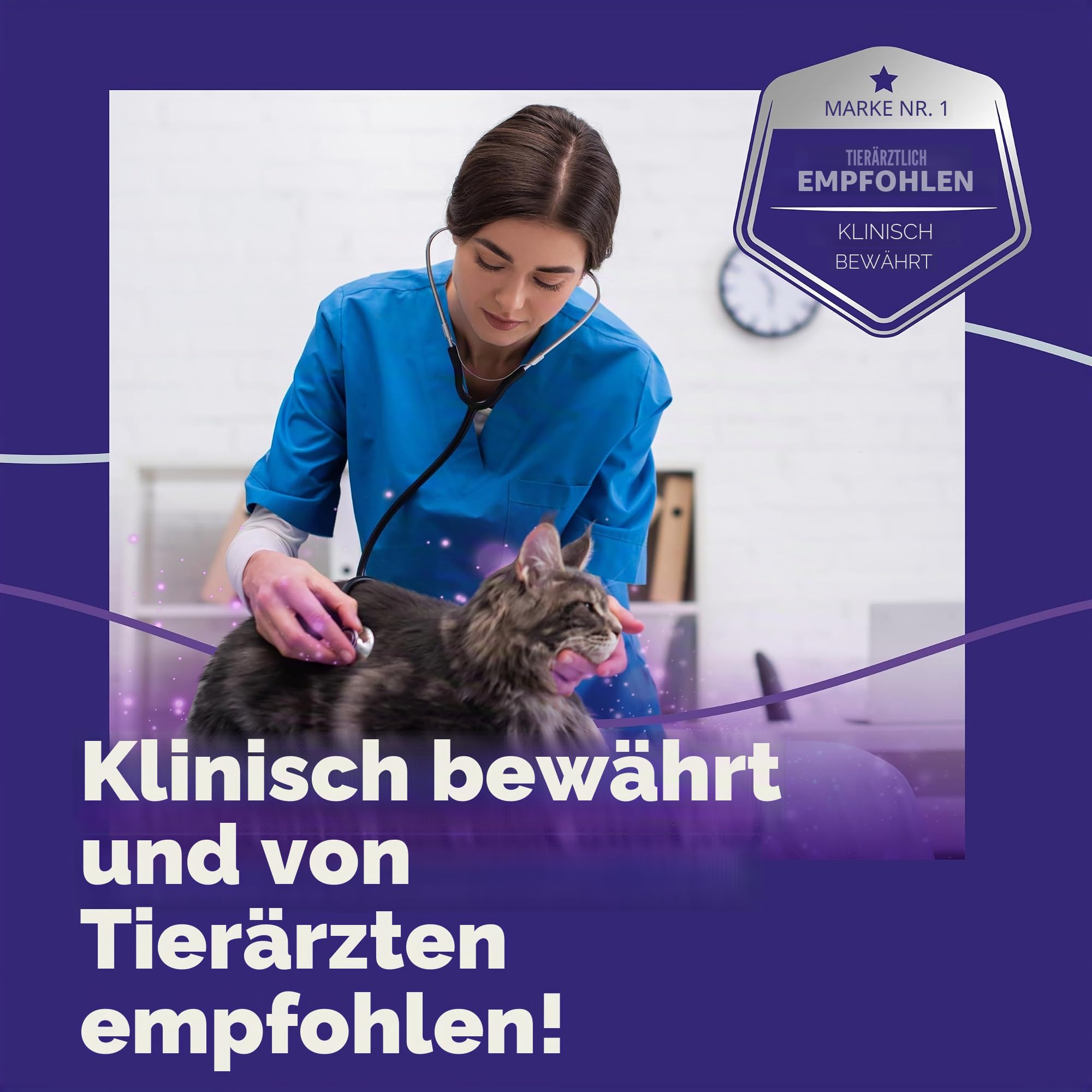 Feliway Optimum 30 Tage Katzen-beruhigende, geruchlose Nachfüllpackung für Pheromon-Diffusor, 48 ml – hilft Anzeichen von Stress bei Katzen und Kätzchen, von Tierärzten empfohlen, medikamentenfrei