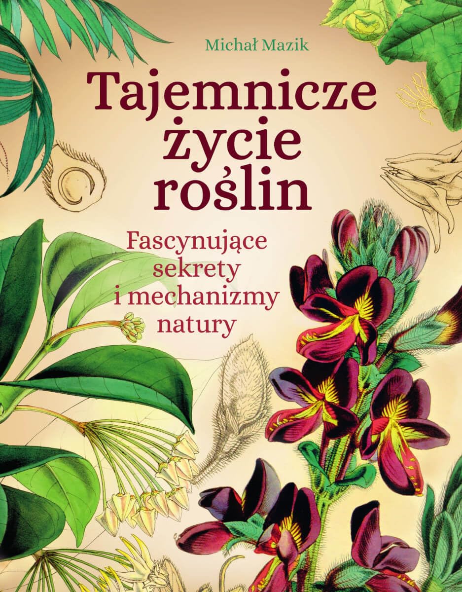 Tajemnicze życie roślin. Fascynujące sekrety i mechanizmy natury