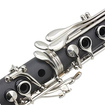 Windsor クラリネット B♭本体 木製 　ケース付き クラリネット 木製 ケース付き Windsor クラリネット B♭本体