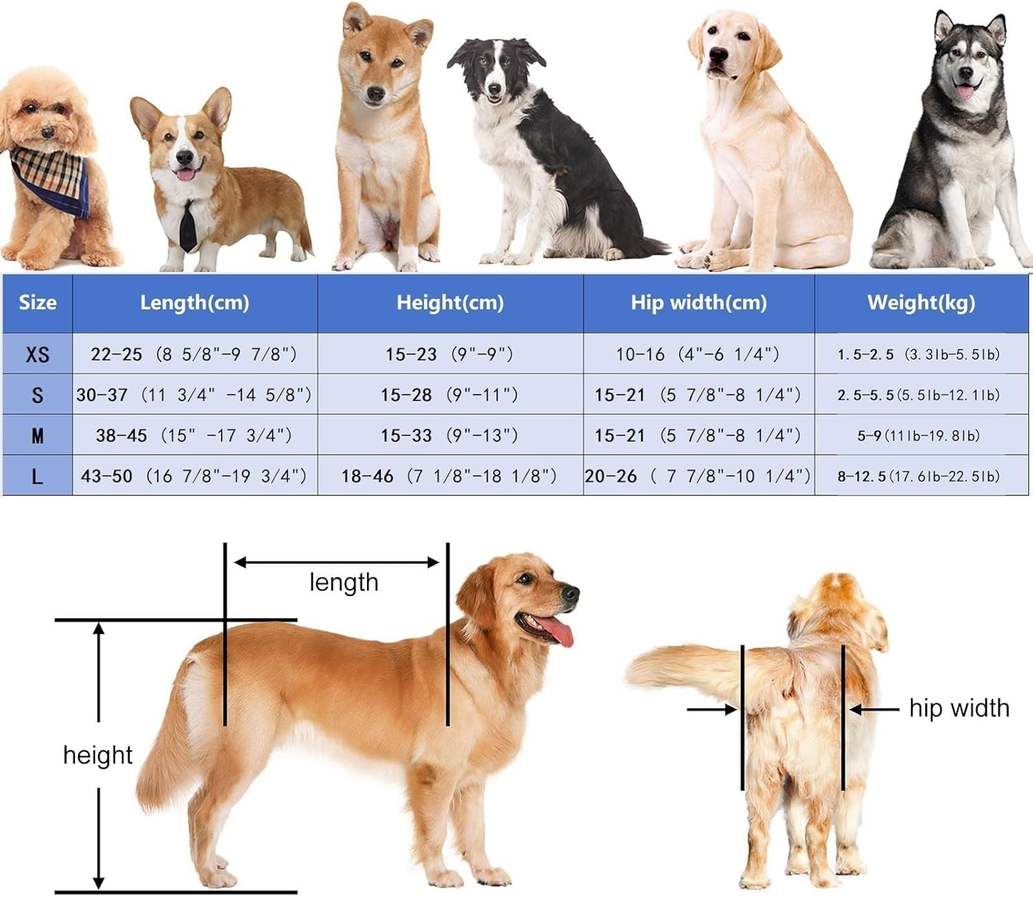 Amazon | 犬 車椅子 4輪犬用フルサポート車椅子調節可能、 小型、中型