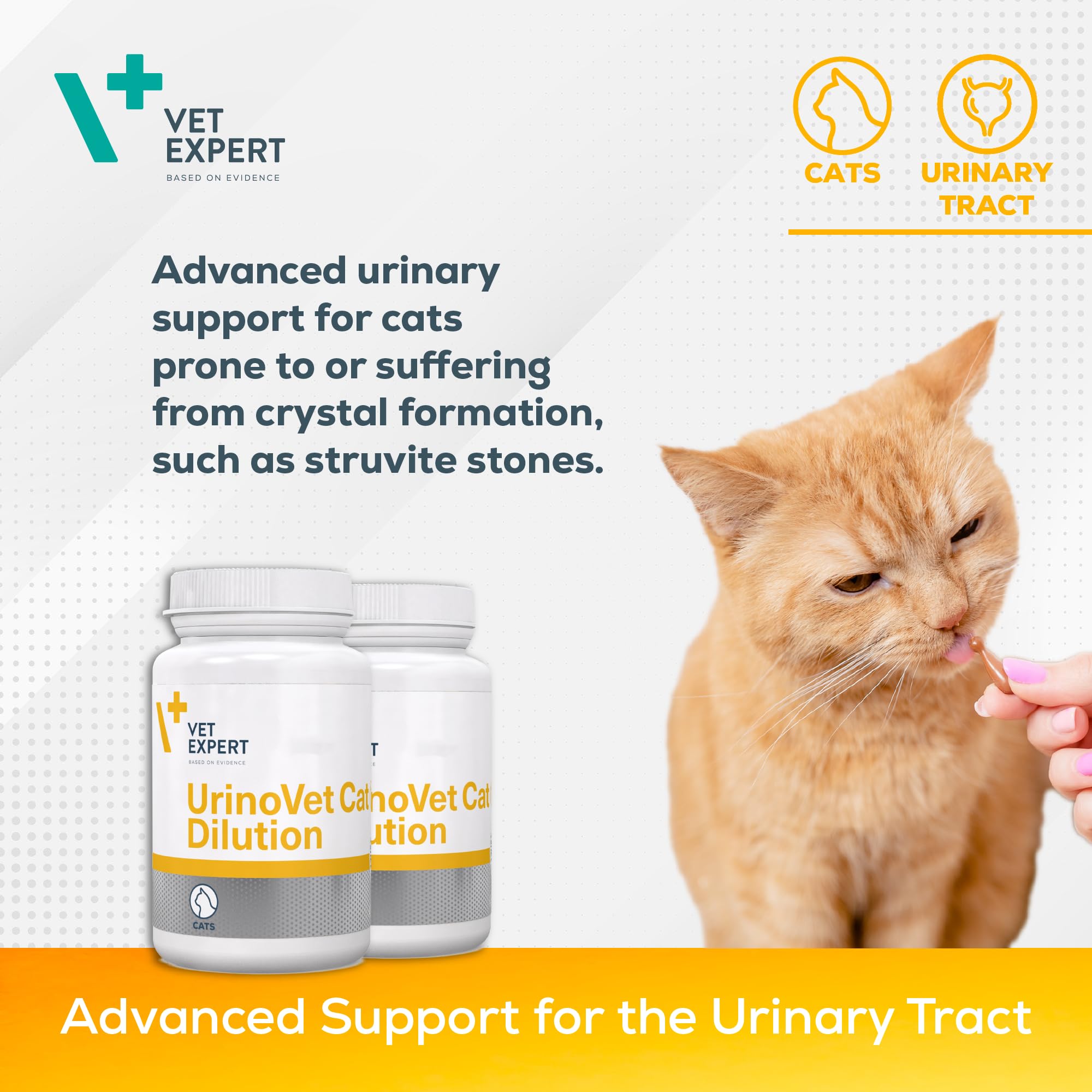 Vet Expert UrinoVet Cat Dilution, Supports Kidneys and Crystal Formation, Natural Anti-Inflammatory and Aids Urination - Image 2
