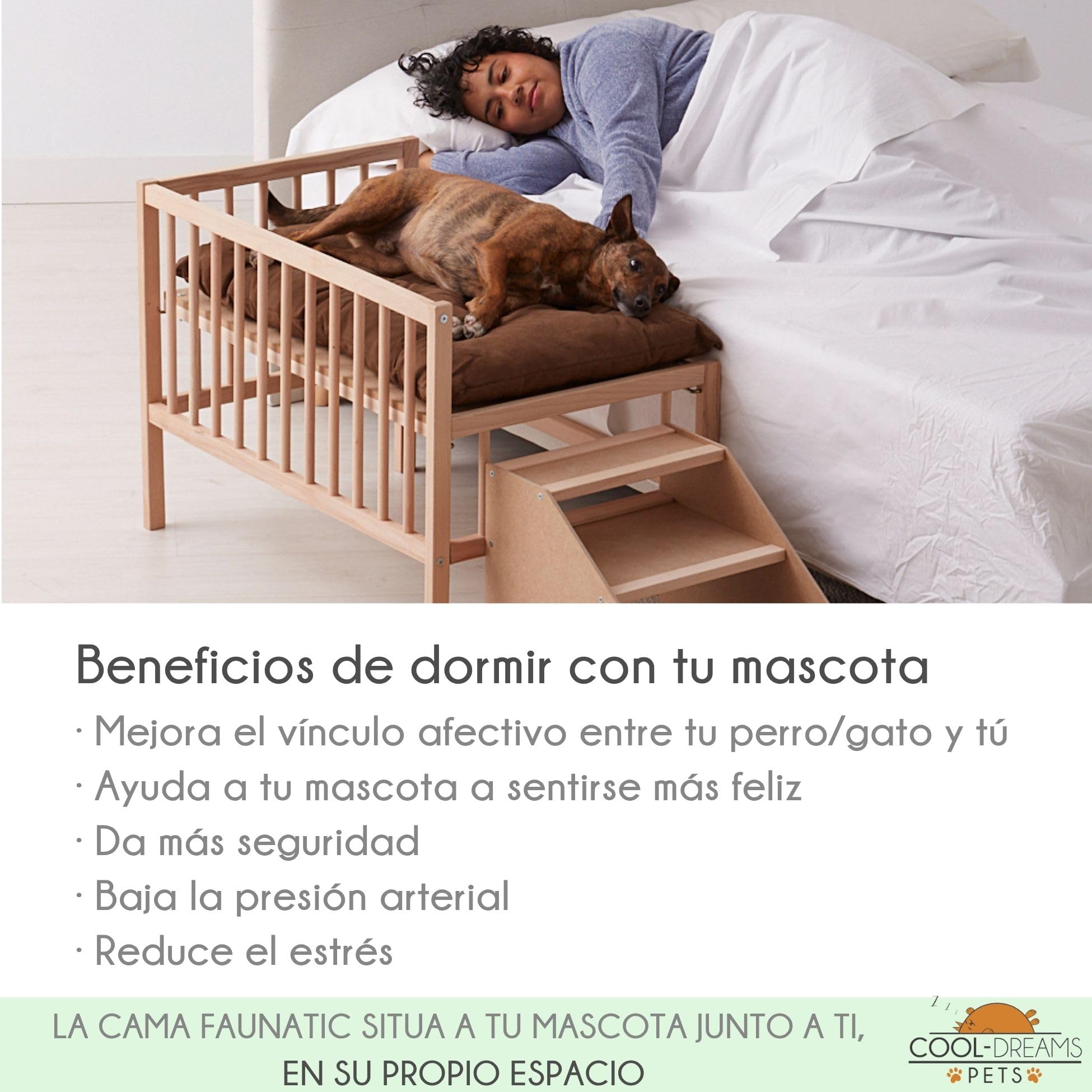 Cama Elevada Perro y Gato de Madera con Escalera | Faunatic CoolDreams | Colchón antiarañazos, dos alturas de somier, estructura de madera. Escalera con 3 peldaños y kit para fijar con cama