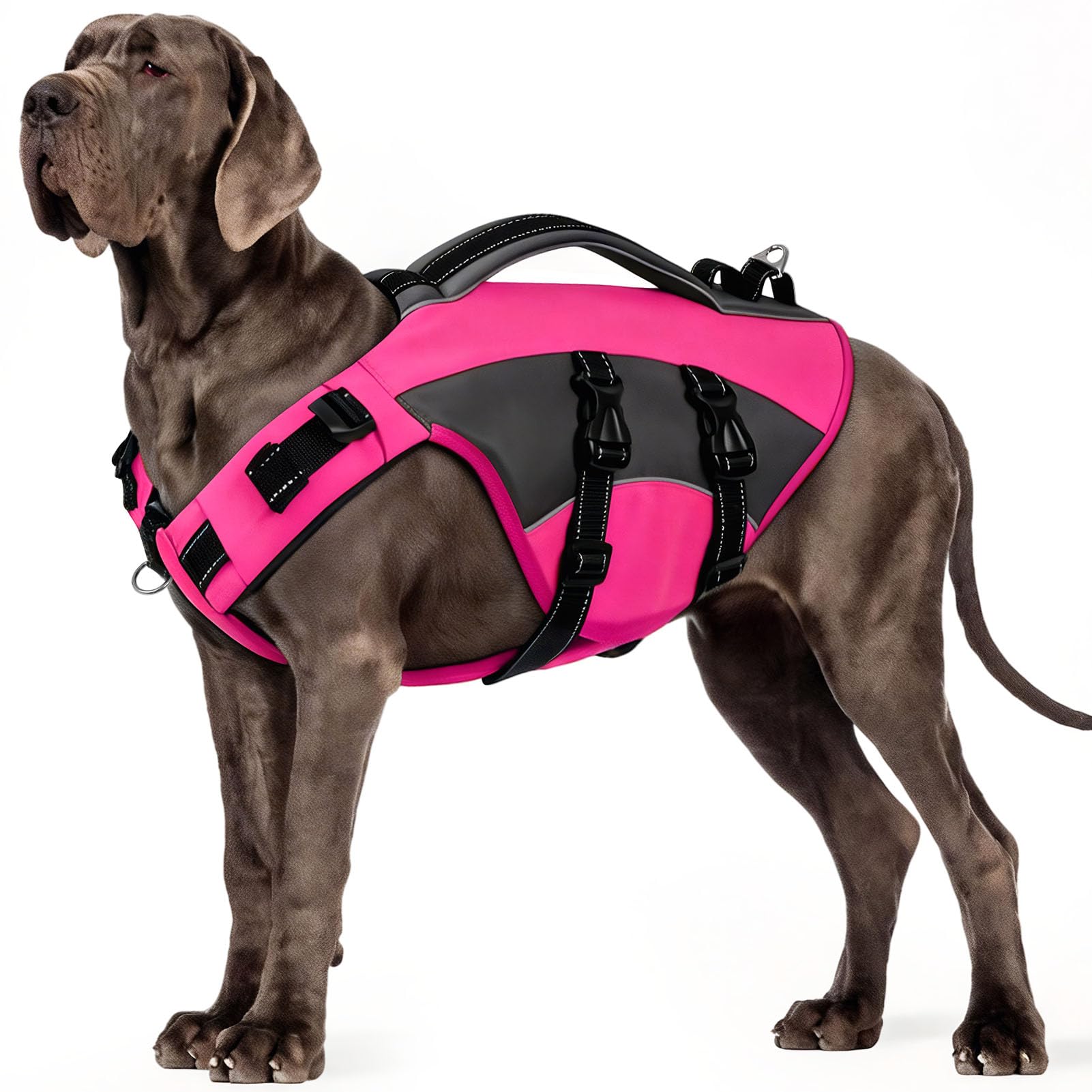 CITÉTOILE Hunde Schwimmweste mit Griff und Reflektierend, Einstellbare Rettungsweste für Kleine Mittel Große Hunde, Langlebigem für Wassersport Schwimmen und Bootfahren, Rosa, XL
