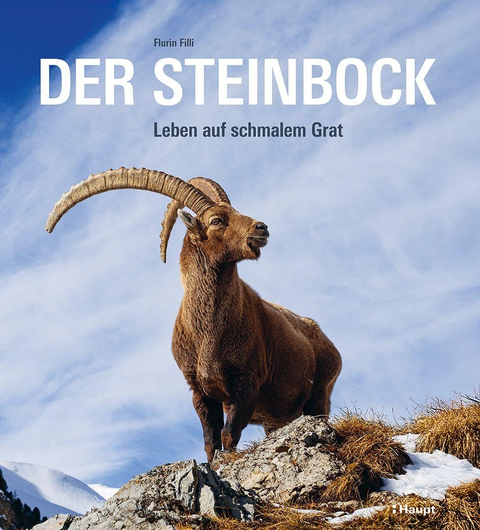 Der Steinbock: Leben auf schmalem Grat