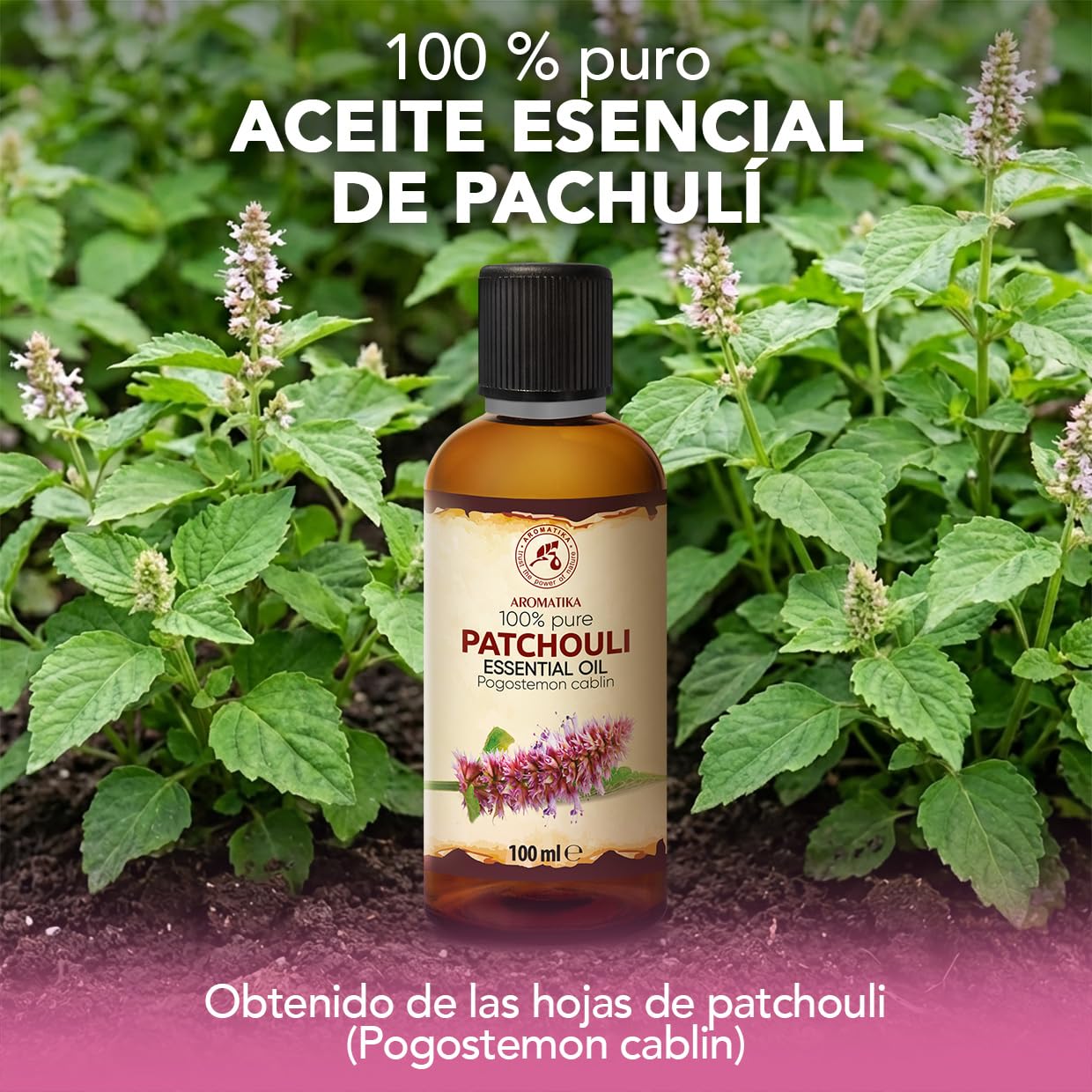 Aceite Esencial de Pachulí 50 ml - Pogostemon Cablin - Natural y Puro - Aceites Esenciales para Difusores - Fragancias para el Hogar - Jabones y Velas - Sauna - Aroma Duradero - Aromaterapia