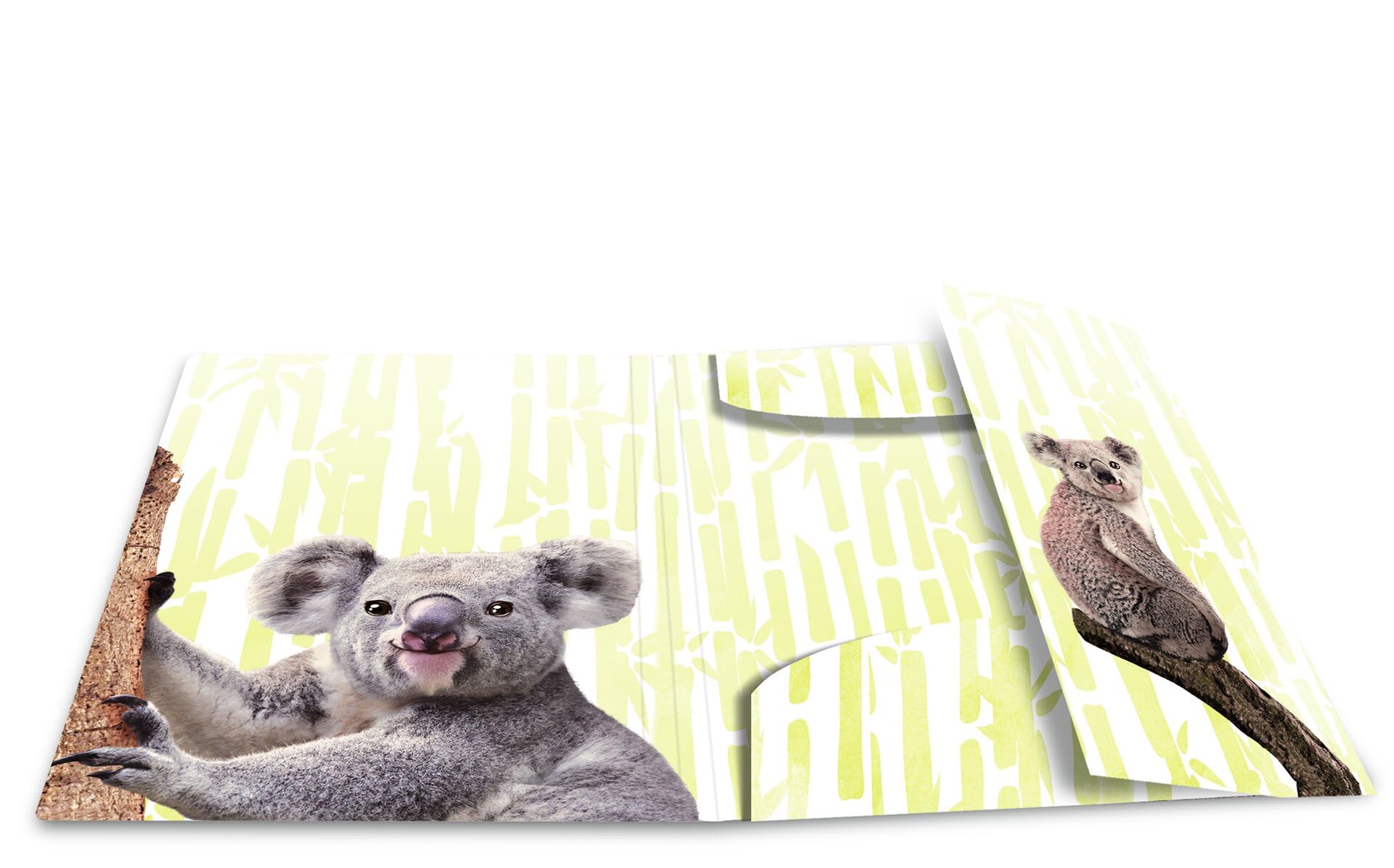 HERMA Collector's Folders A4 Koala Set of 3 Children's Plastic Corner Folder with Animal Motif, Elastic Band - Image 3