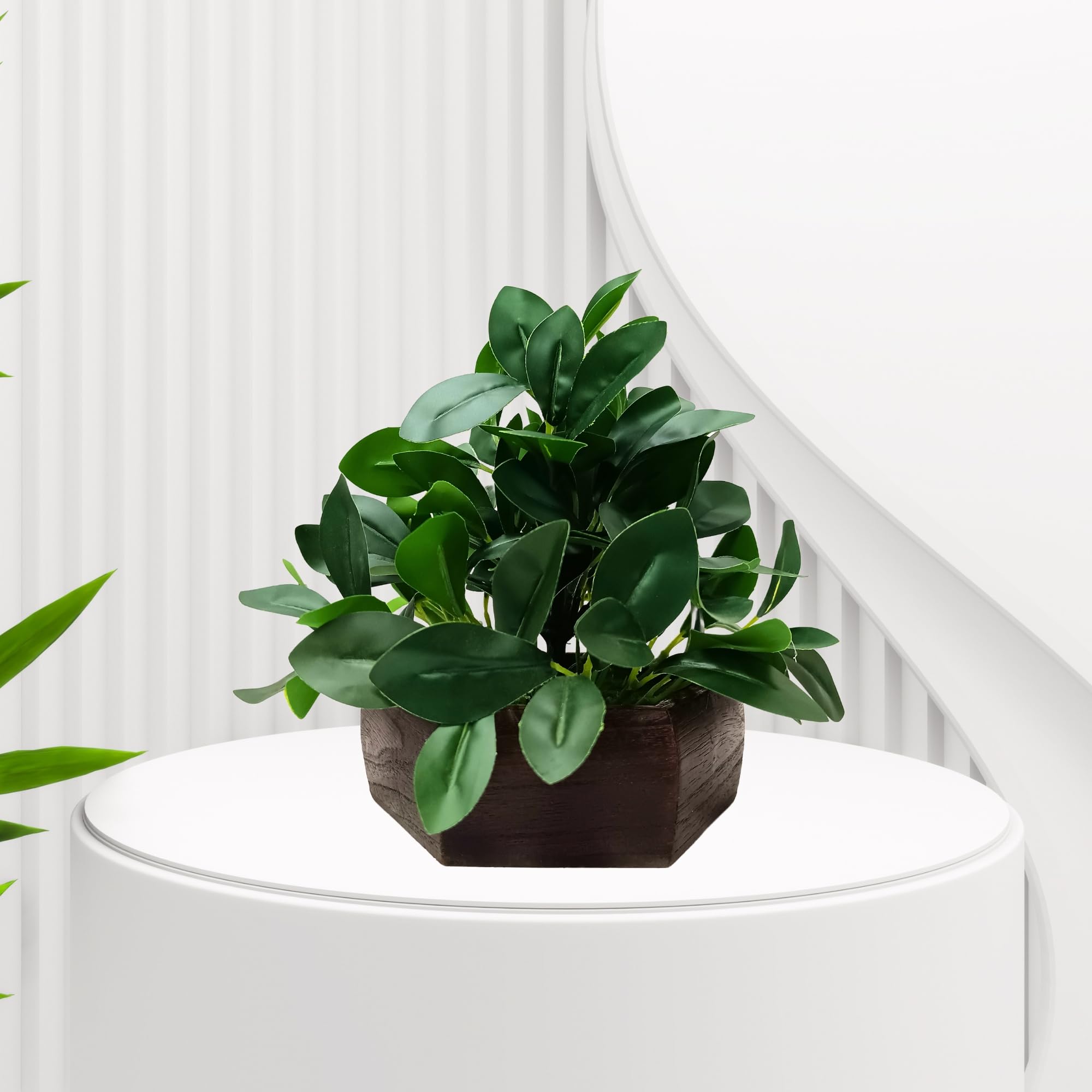 fancymart Artificial Ficus Leaves in Wood Hexagon Pot - 20cm Height - Home & Office Decor Elegant Potted Plant for Tabletop Enhancement (Pack of 1) 2