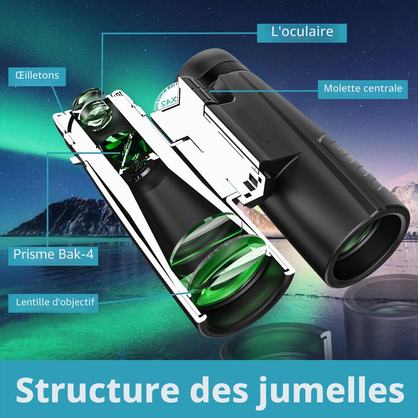 12 x 42 Jumelle,Jumelles Adultes Puissante, Jumelles Professionnelles HD pour Observation des Oiseaux et Etoiles, Voyages, Chasse et Sport de Vue avec Adaptateur pour Téléphone