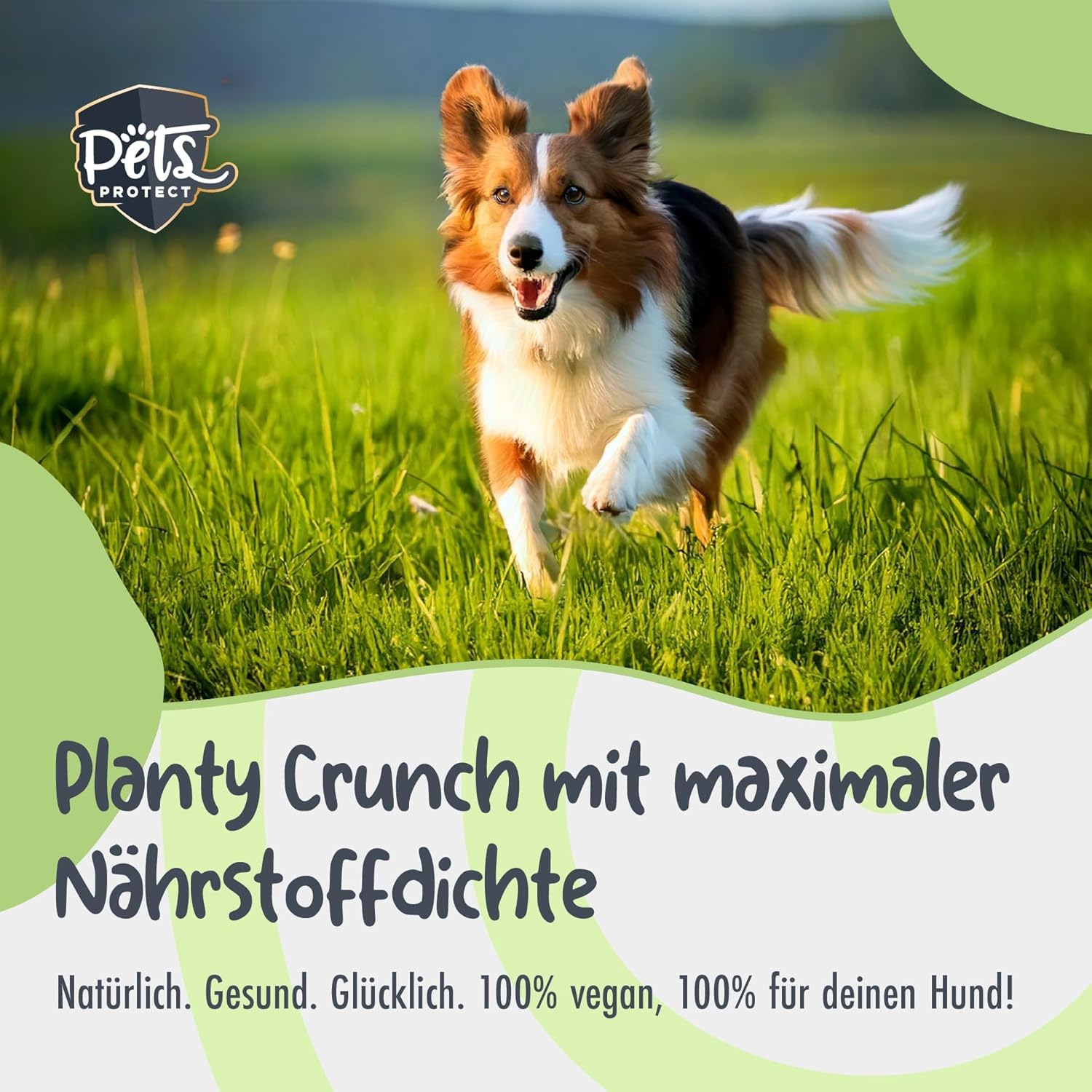 Powerstar Planty Crunch Hundefutter vegan 2x5000g - allergikerfreundlich | Getreide- und sojafrei mit Carnitin - Vitamin B12 und D3 - für Hunde mit Futtermittelallergie - Trockenfutter