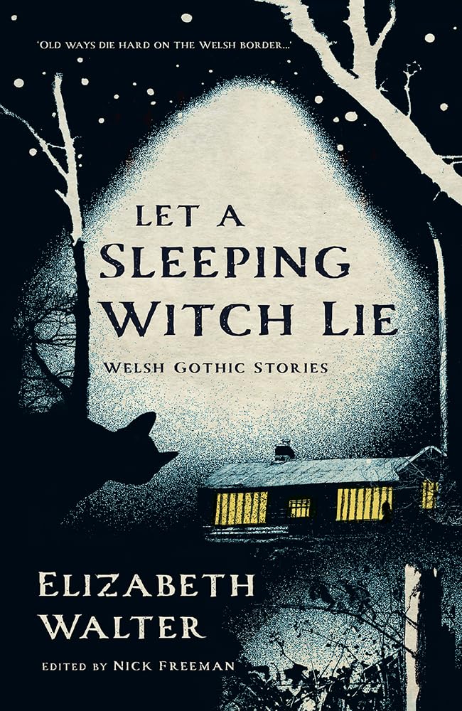 Let a Sleeping Witch Lie: Welsh Gothic Stories by Elizabeth Walter