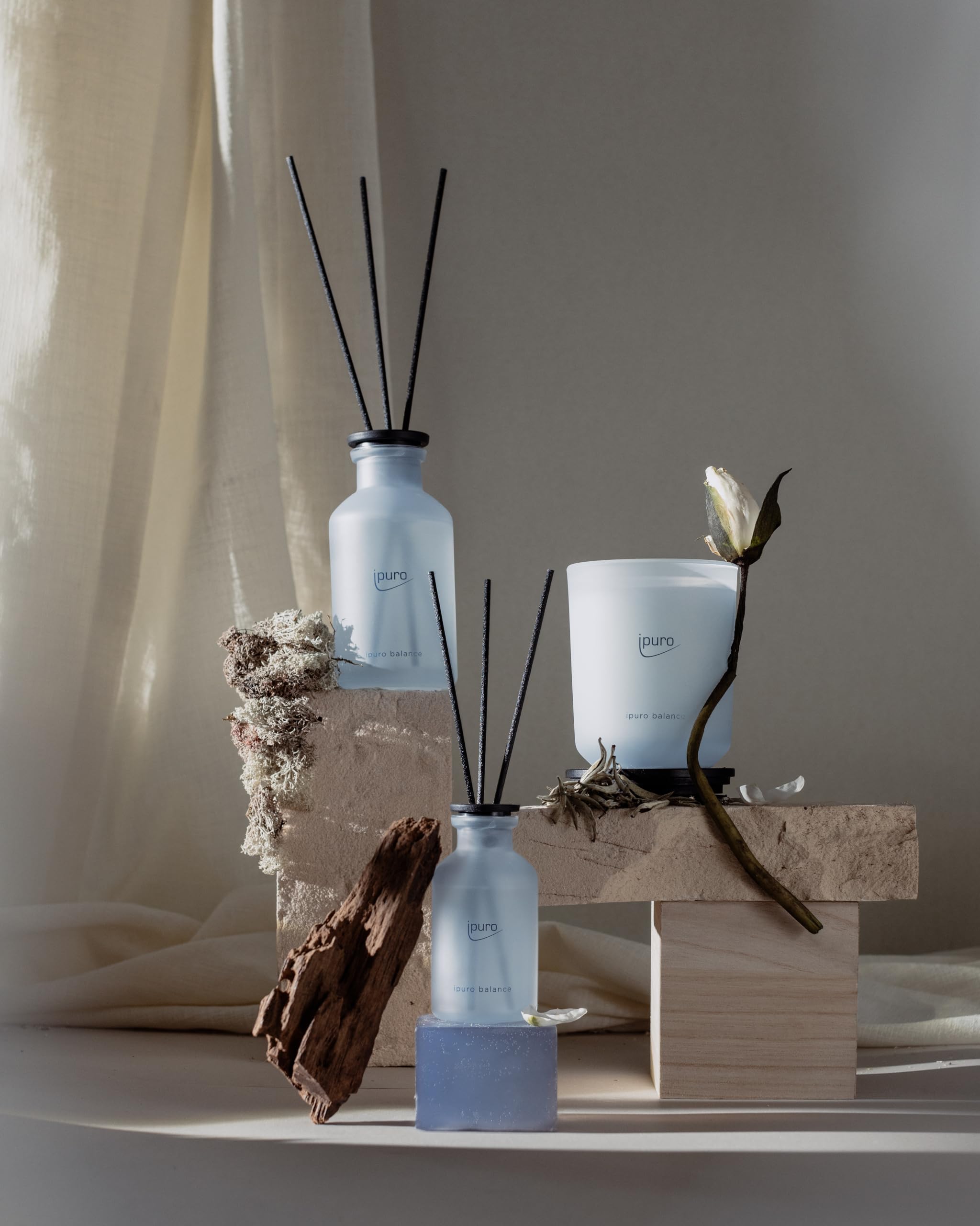 ipuro - Classic Raumduft Balance - 240ml | Raumerfrischer mit maritimen Noten, Orange & Bergamotte, Wasserlilie & weißem Tee - Duft | Diffuser mit Stäbchen | Erfrischender Lufterfrischer Wohnung
