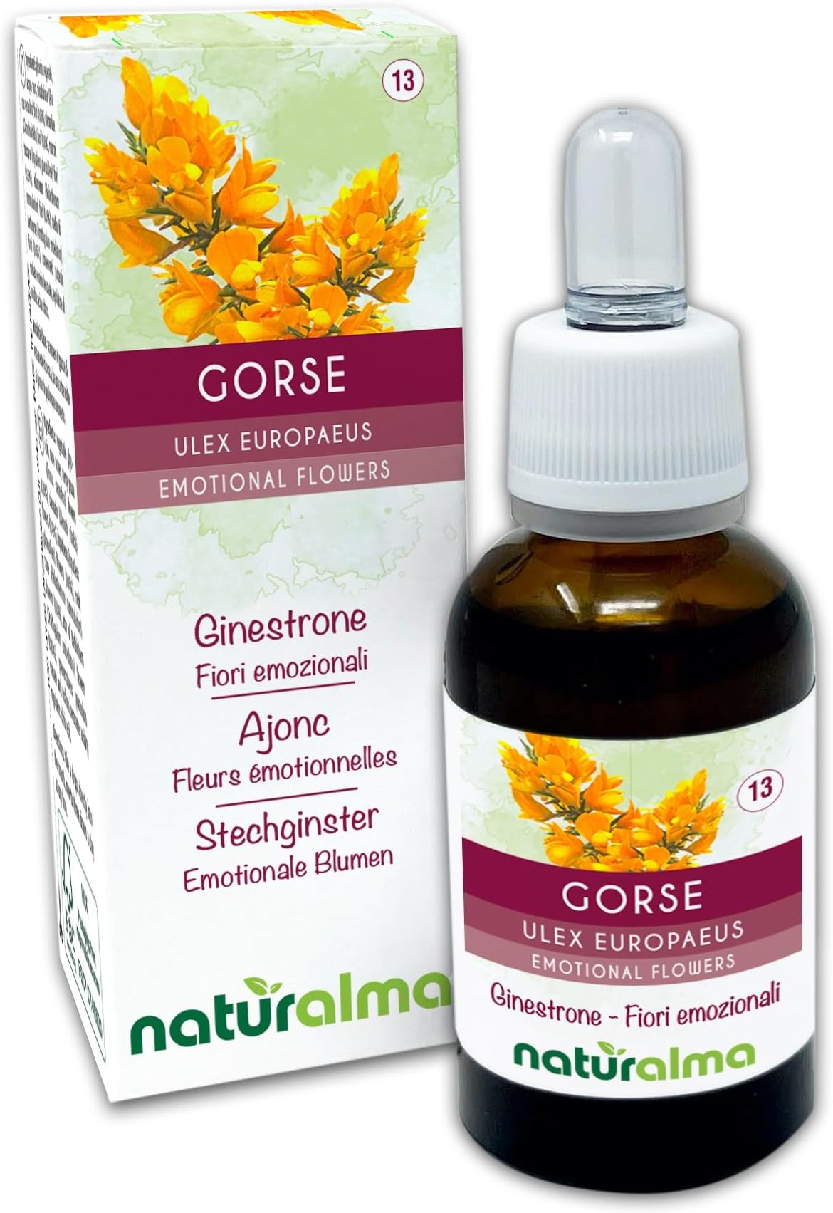 – Gorse (Ulex europaeus) Naturalma Emotional Flowers or Bach Flowers - Drops 30 ml - Alcohol-Free Liquid Extract - Flower essences - Vegan and Without Alcohol