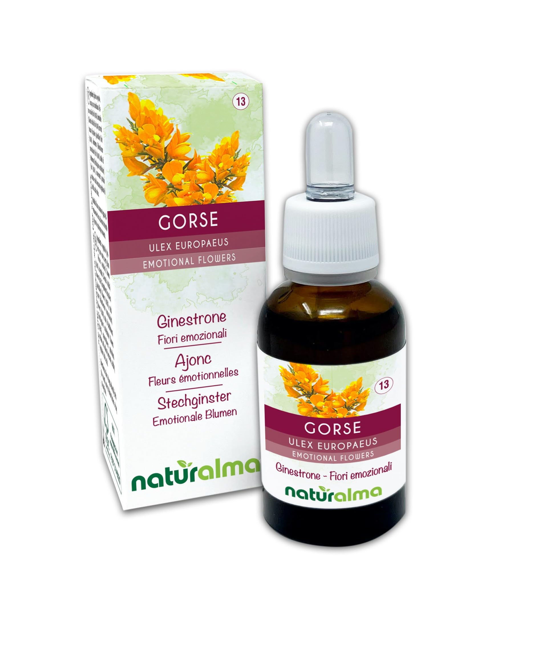 Gorse (Ulex europaeus) Naturalma Emotional Flowers or Bach Flowers - Drops 30 ml - Alcohol-Free Liquid Extract - Flower essences - Vegan and Without Alcohol