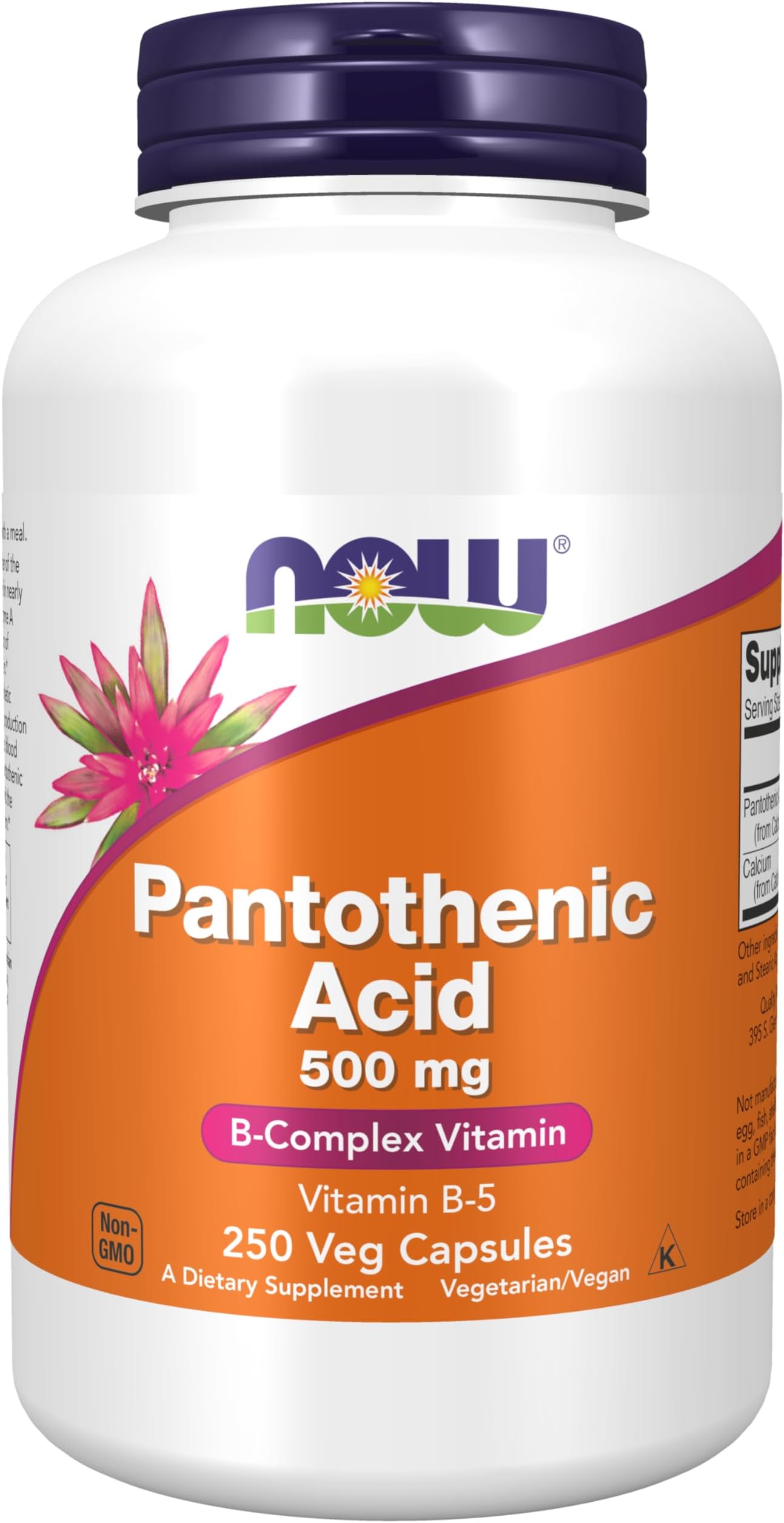 NOW Foods Pantothenic Acid 500 mg, 250 Capsule (3 Pack)