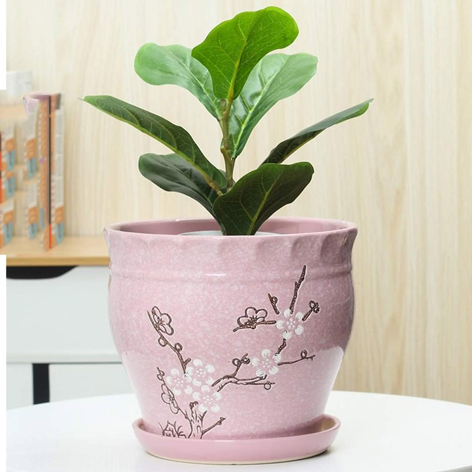 Pot de fleurs respirant style chinois pour la santé des plantes succulentes