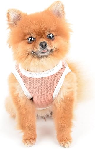Miniatura 3 de SMALLLEE_LUCKY_STORE Linda camiseta de punto gofre con oso para cachorros, para perros pequeños y medianos, gatos, niños y niñas, camiseta elástica