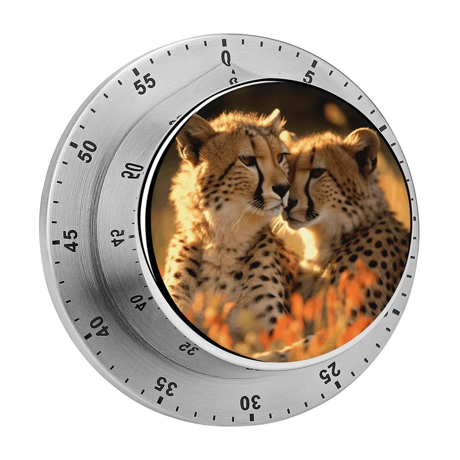 Cheetah Love Kitchen Timer Chef Cooking Timers Clock with Loud Alarm Exquisite Stainless Steel Mechanical