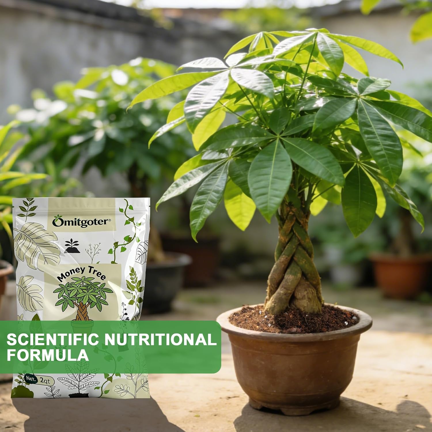 All-Natural Money Tree Soil & Indoor Potting Mix 10QT - Drainage-Enhanced Plant Soil for Healthy Indoor Plants