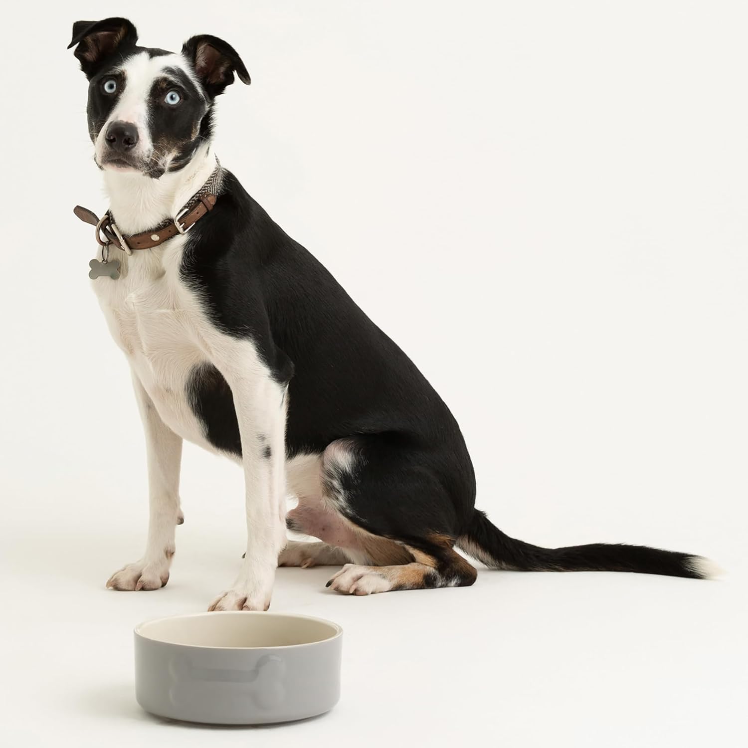 Mason Cash: Embossed Bone Dog Bowl - Gray - 8", 50.7oz - Durable Ceramic Food & Water Dish, Microwave & Dishwasher Safe, Pet Meal Feeding & Hydration