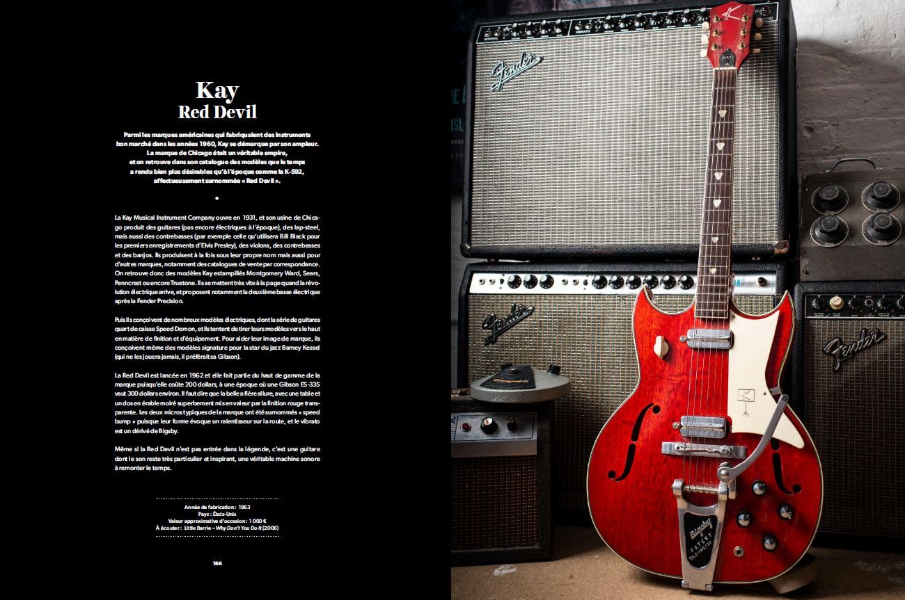 Guitares d'exception: 100 modèles mythiques et leur histoire
