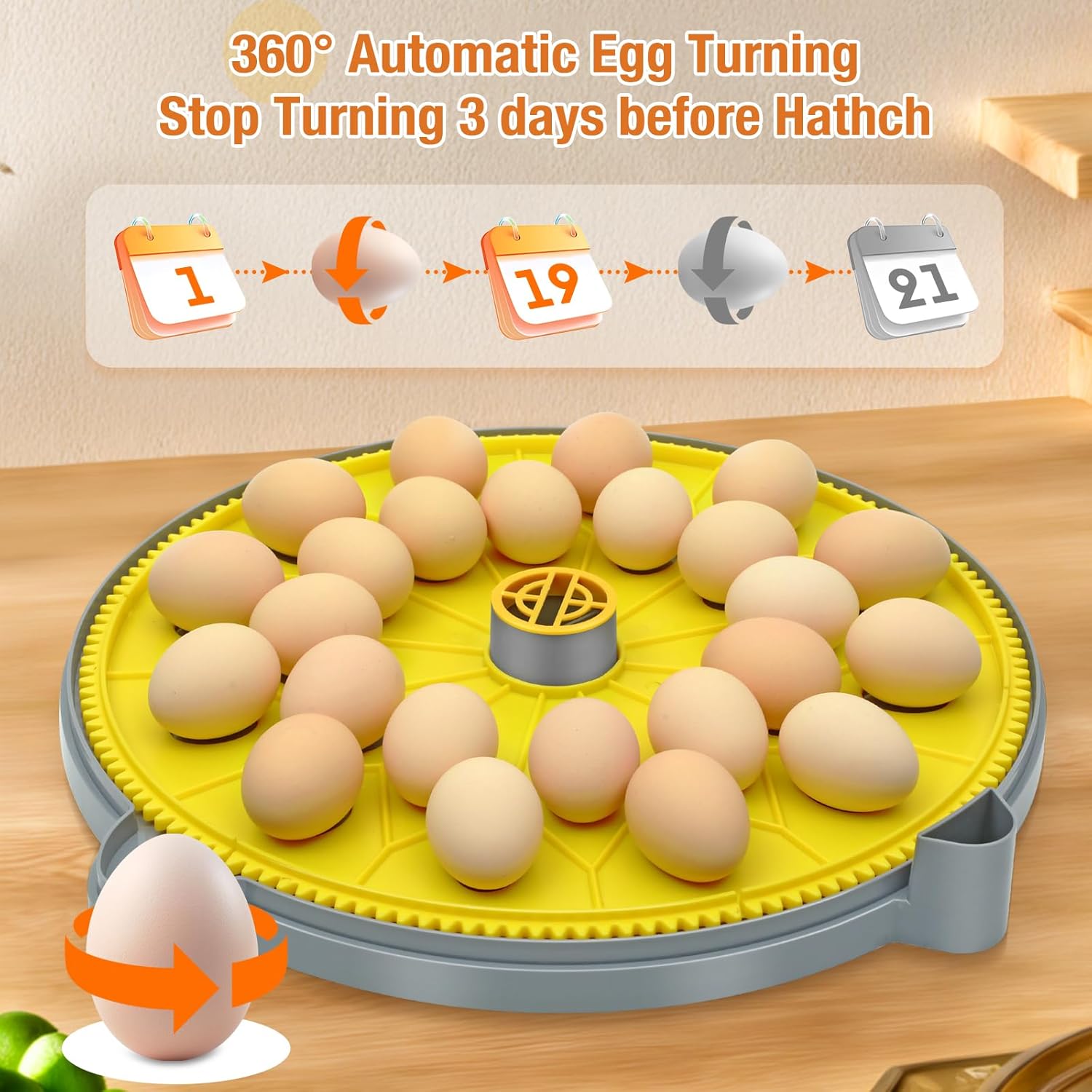 24 Eggs Incubator with Temperature and Humidity Display, Automatic Egg Turning, Automatic Water Bottle Refill, Air Vent, 4 Modes 360° View Incubator, Hatching Chicken Duck Quail Bird