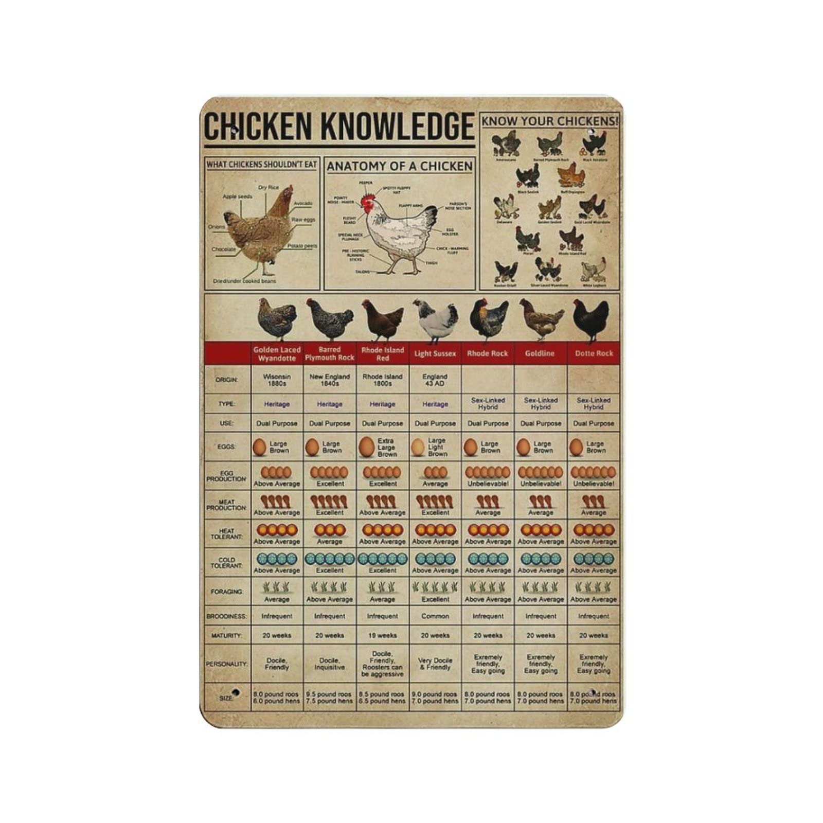 AOOEDM Chicken Knowledge Vintage Tin Sign Metal Tin Signs for Man Cave Funny Art Wall Plaque Kitchen Bar Pub Coffee Shop Wall Decor