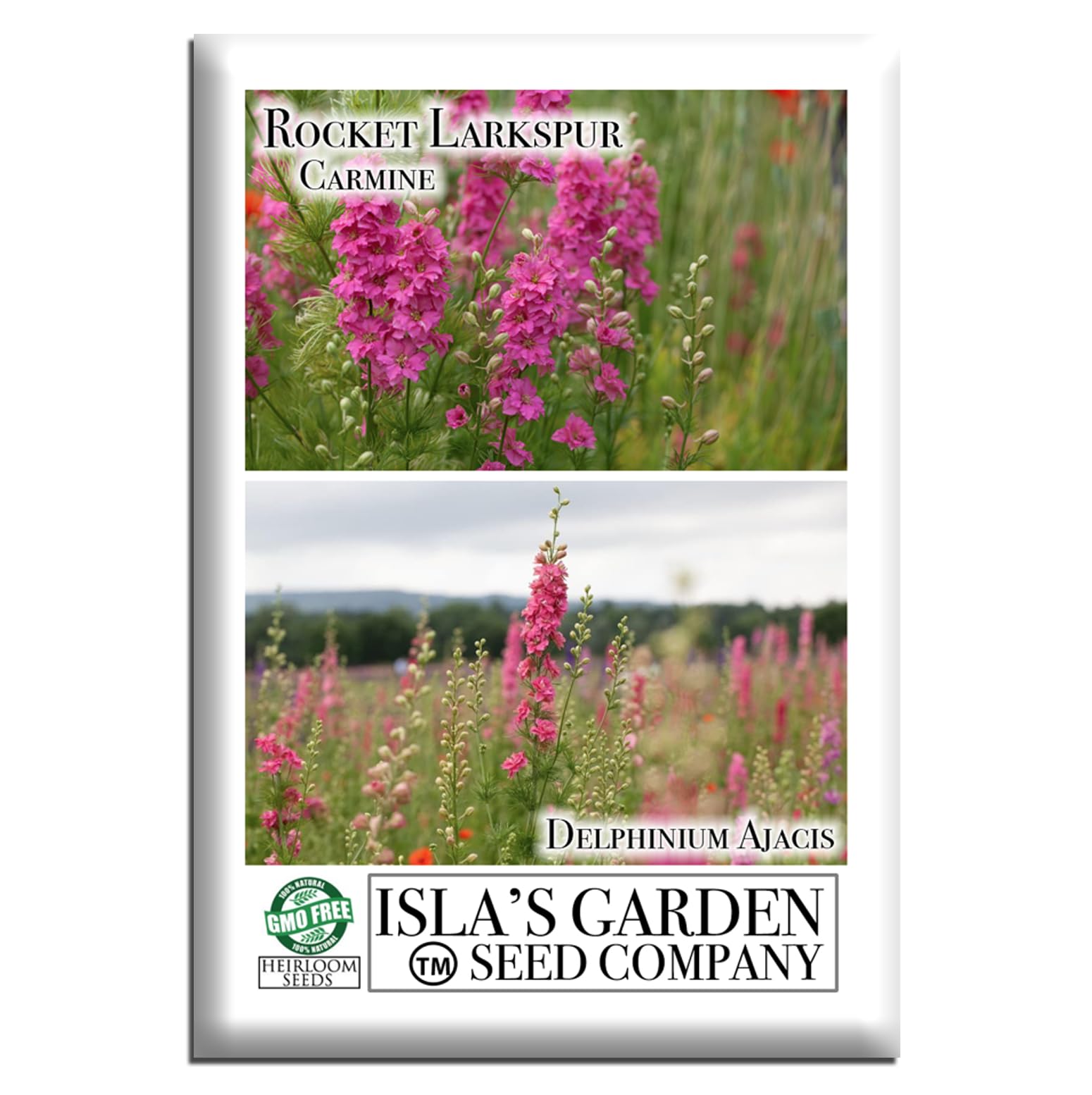 Amazon.com : Larkspur Rocket Carmine Flower Seeds - 250+ Seeds Per