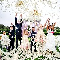 Vista 26 de CODE FLORIST 1100 pétalos de rosa de seda para el día de San Valentín, pétalos de rosa falsos para noches románticas, bodas, propuestas