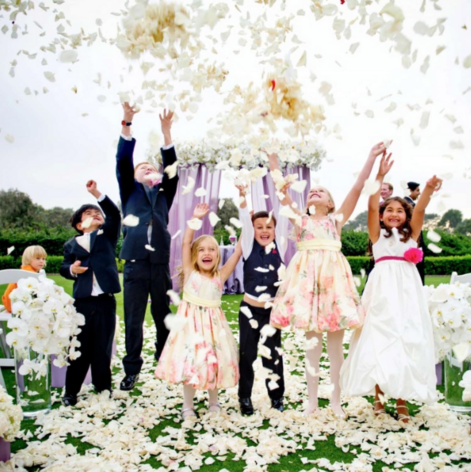 CODE FLORIST 2200 PCS Silk Flower Rose Petals for Wedding Decorations (Ivory), 2 inch - Image 2