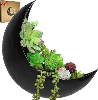 Wall Planter - Window Planter - Hanging Moon Planter - Boho Hanging Plan...