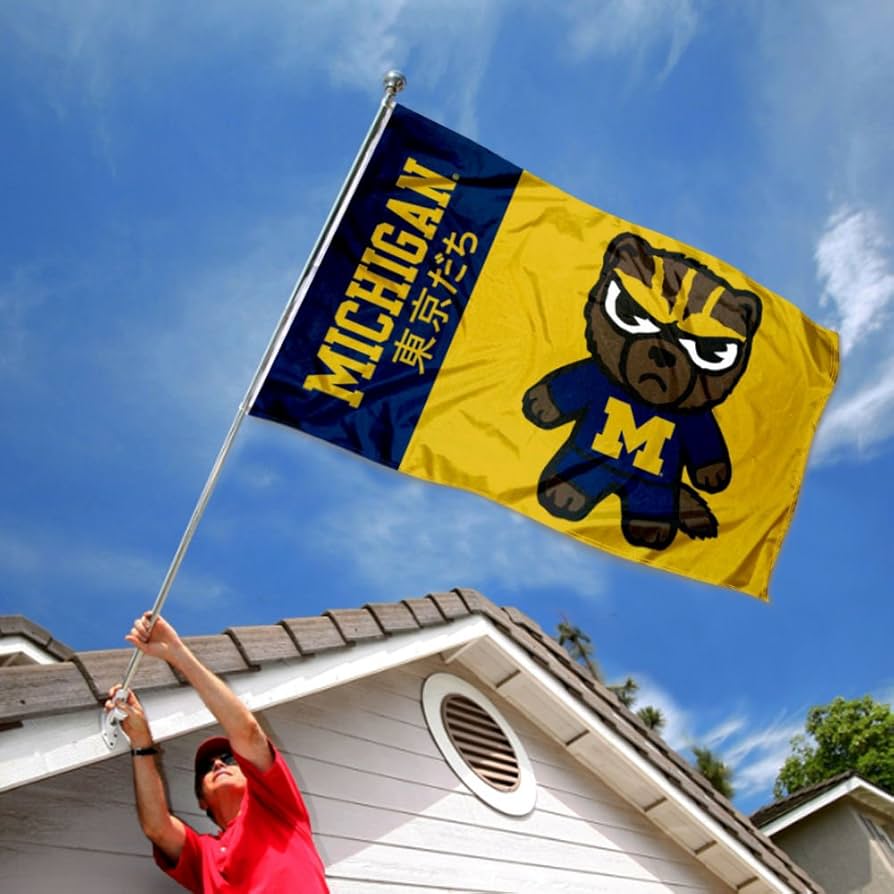 Amazon.com : Michigan Wolverines Tokyodachi Cartoon Mascot