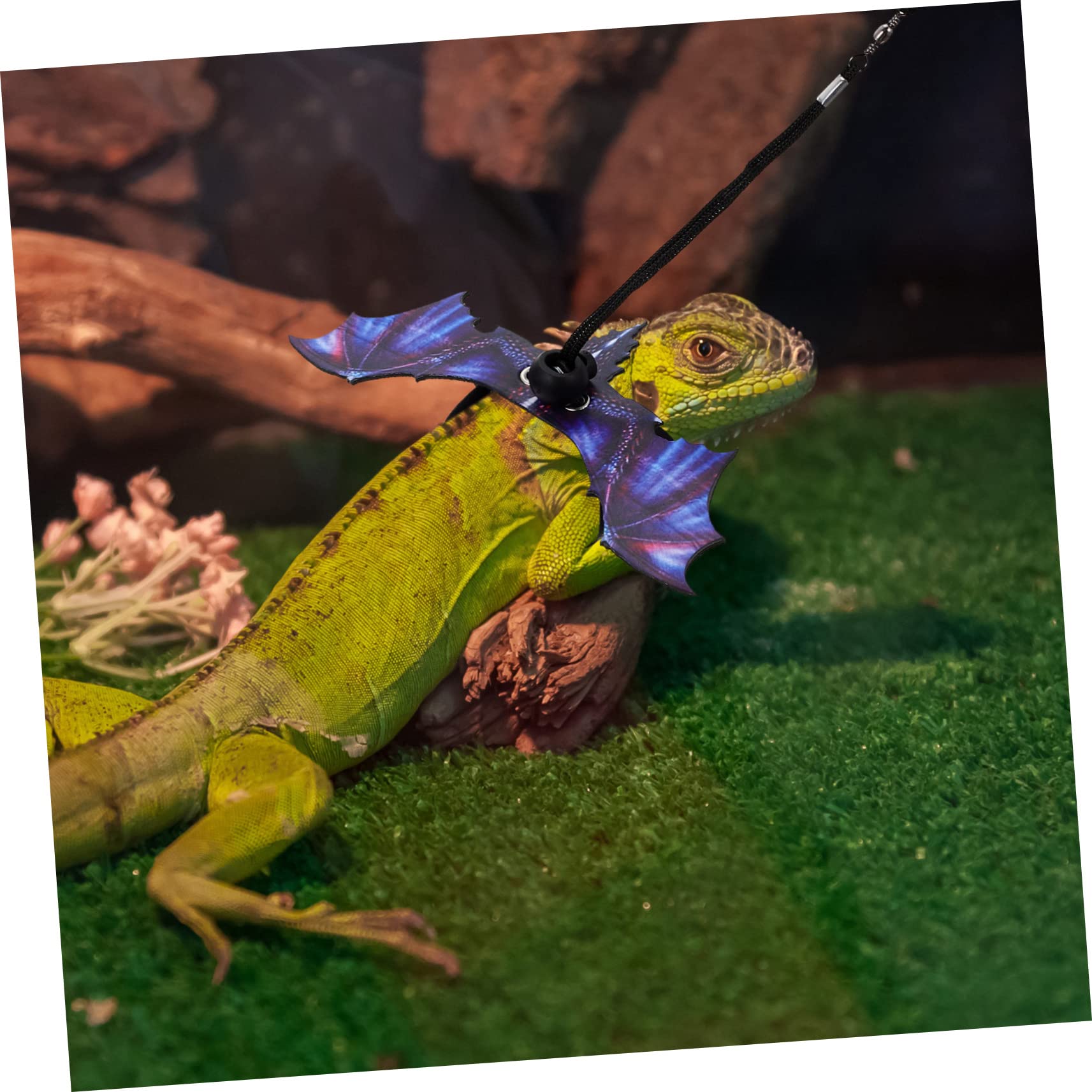 BESPORTBLE 3sätze Reptilien-Geschirr Mit Leine Dekoratives Design Leichtes Und Komfortables Material Für Schildkröten Eidechsen Und Andere Kleine Haustiere Erhältlich