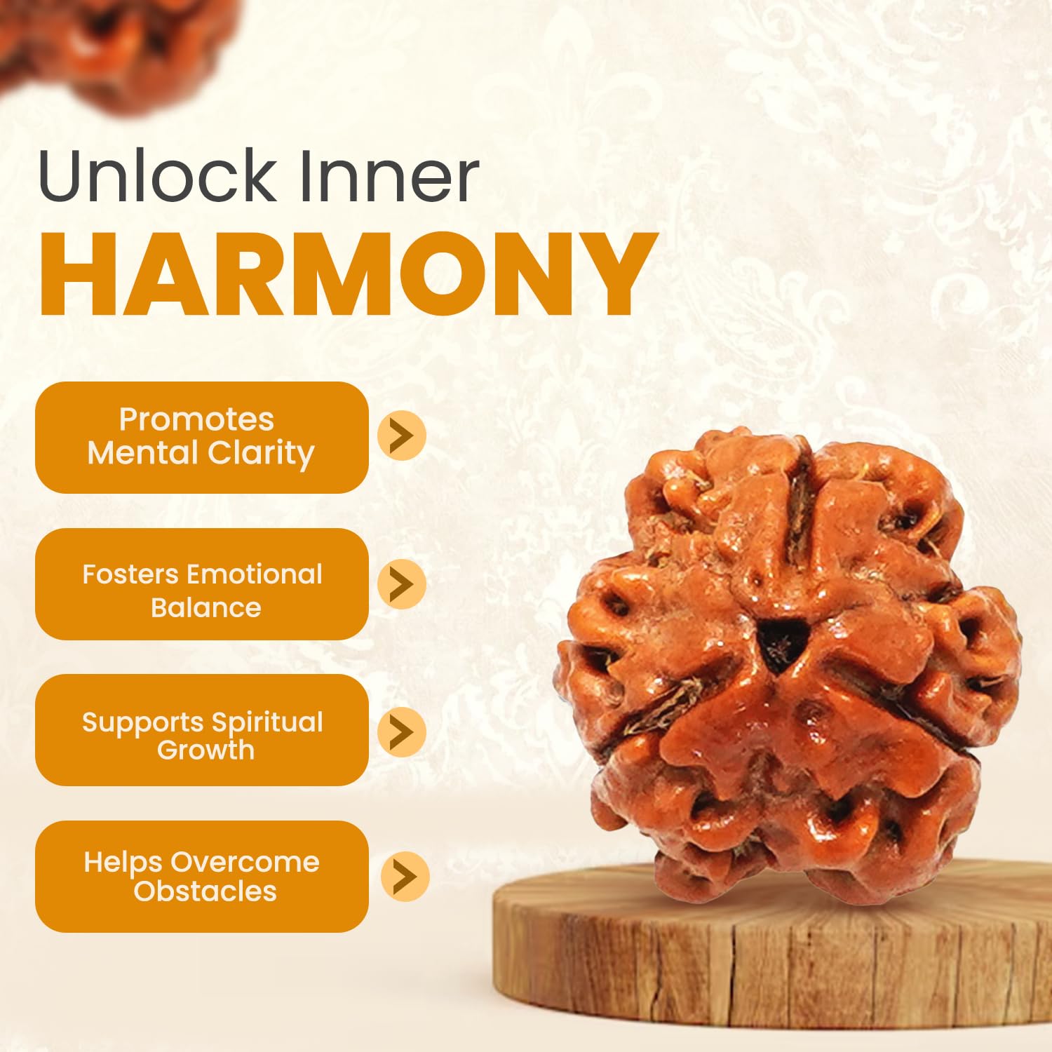 PUSHKARA NATURAL 3 MUKHI RUDRAKSHA CERTIFIED - NEPAL | BROWN | PJTL3M01 4