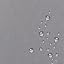 Grey | Water|repellent